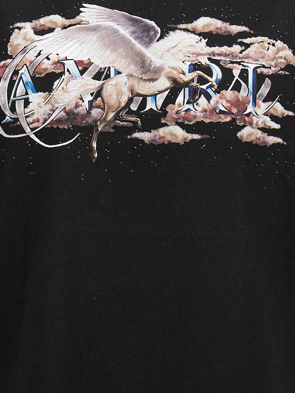Amiri T-shirt pegasus script logo - Black - Men|SS23MJG015001
