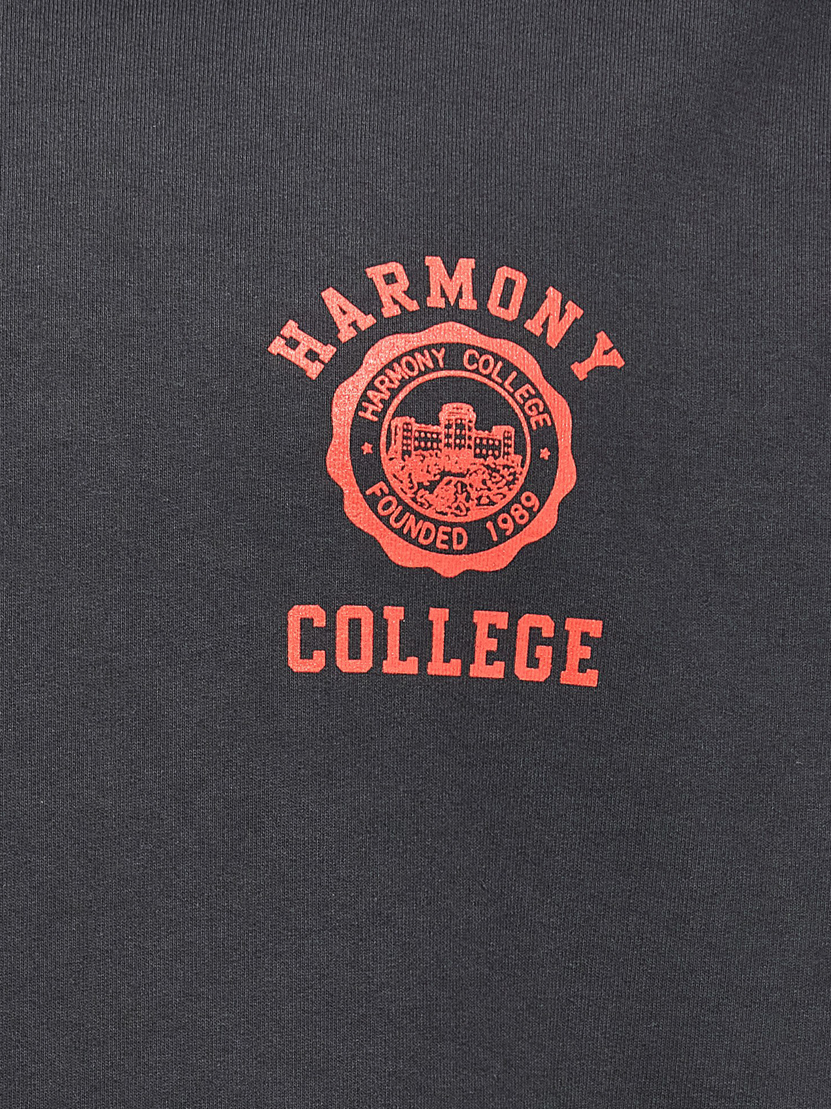 Shop Harmony Sany College Emblem Hoodie In Grey