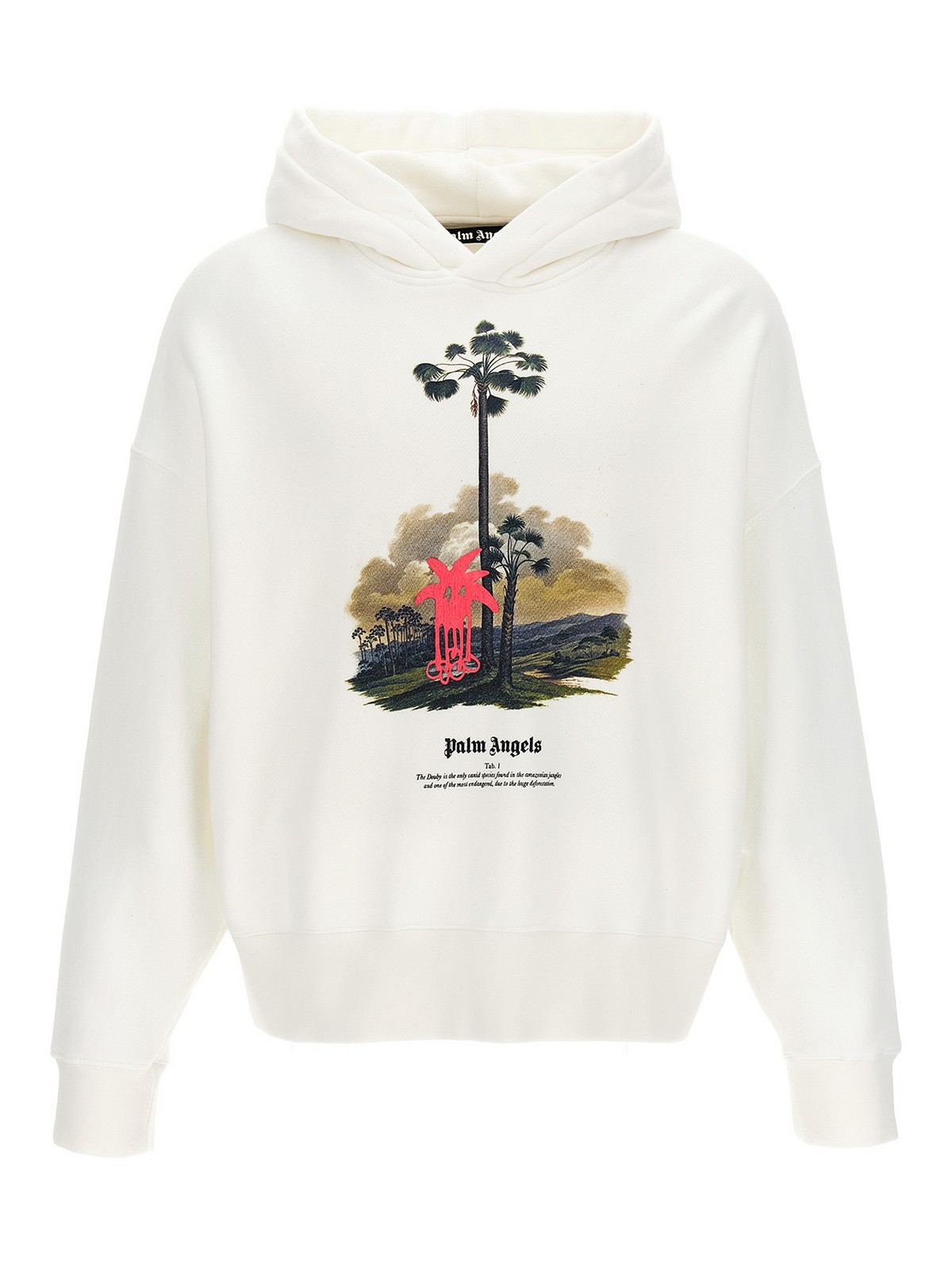 Shop Palm Angels Douby Lost In Amazonia Hoodie In White