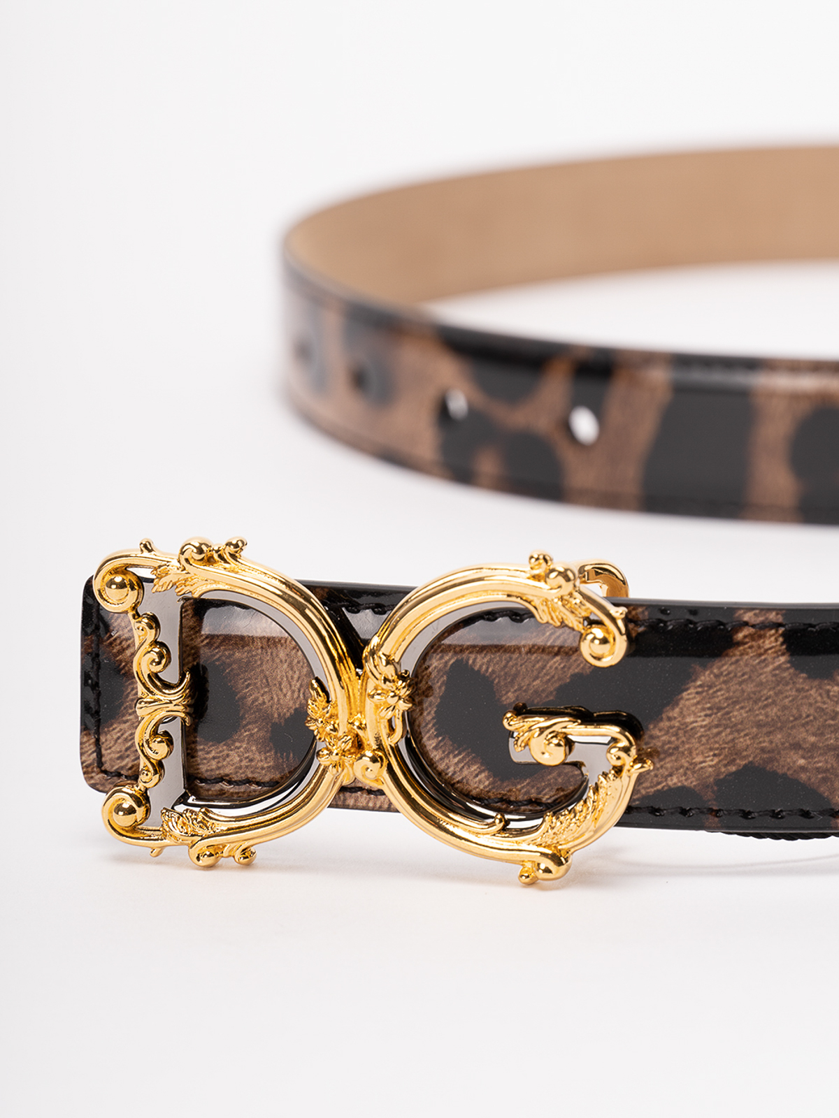 Shop Dolce & Gabbana Polished Leather Belt With Dg Logo Buckle In Estampado Animalier