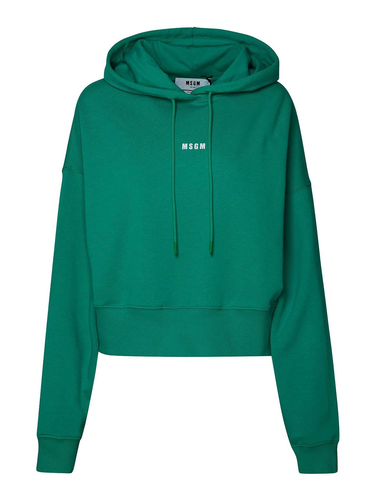 Msgm Hooded Sweatshirt With Mini Logo In Green