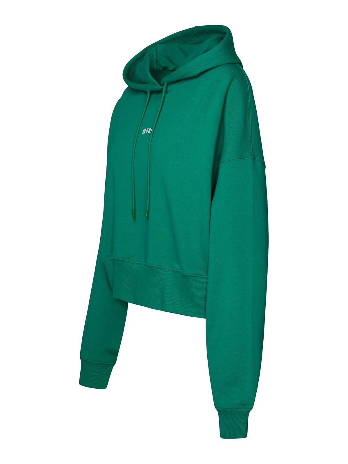 Shop Msgm Hooded Sweatshirt With Mini Logo In Green