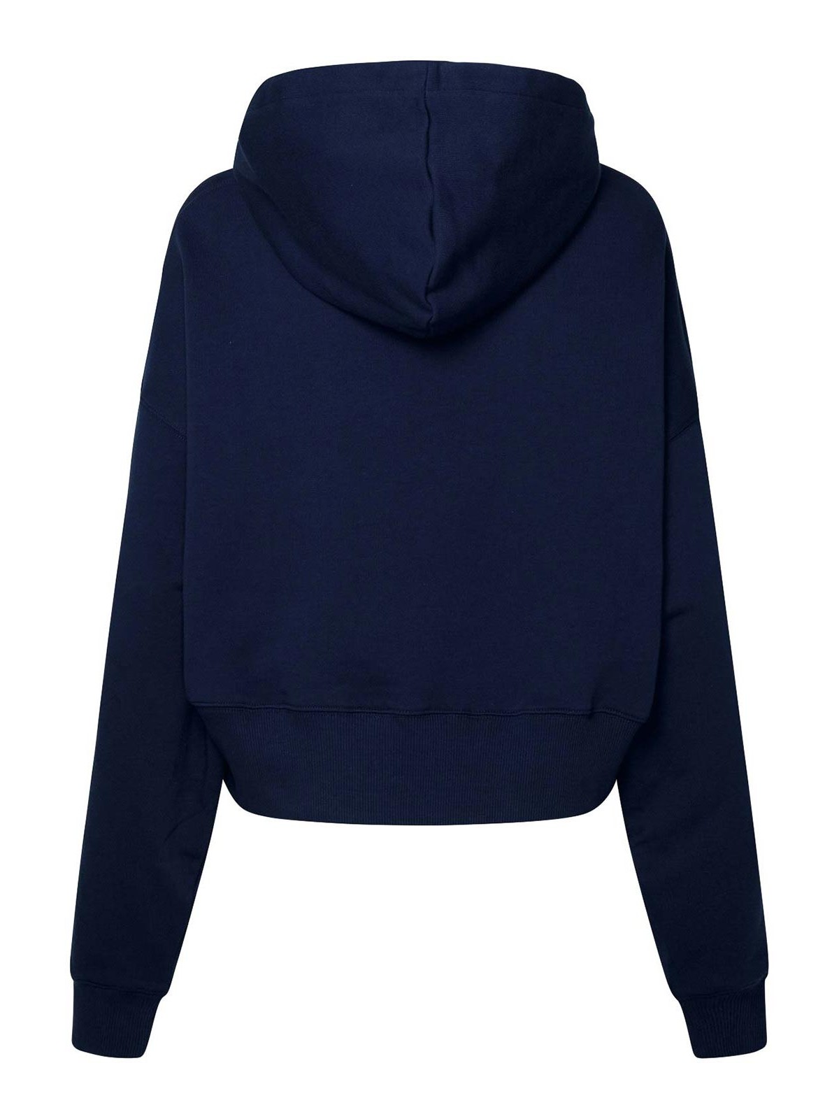 Shop Msgm Hooded Sweatshirt With Mini Logo In Dark Blue
