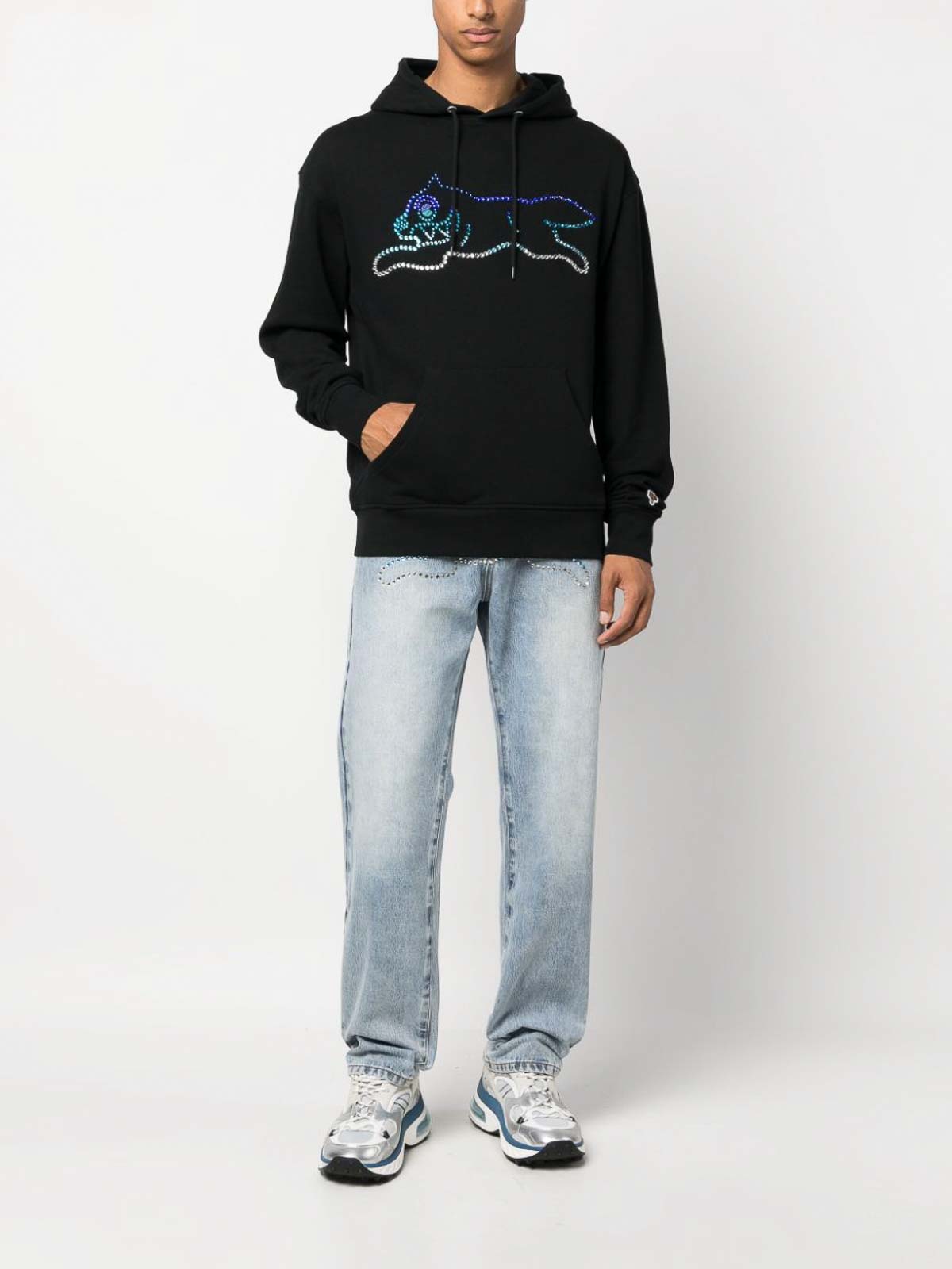 Sweatshirts & Sweaters Icecream - Running dog cotton hoodie