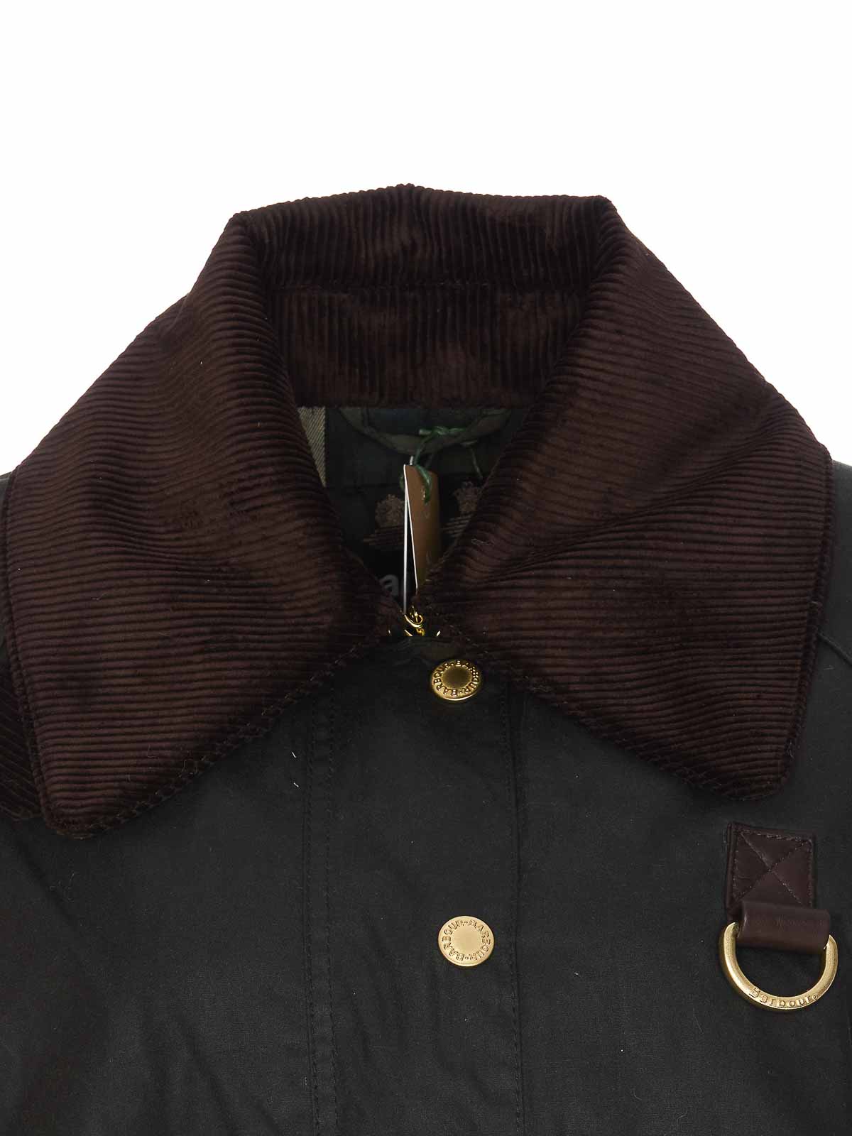 Barbour Catton wax jacket - Green - Women|LWX1333SG51