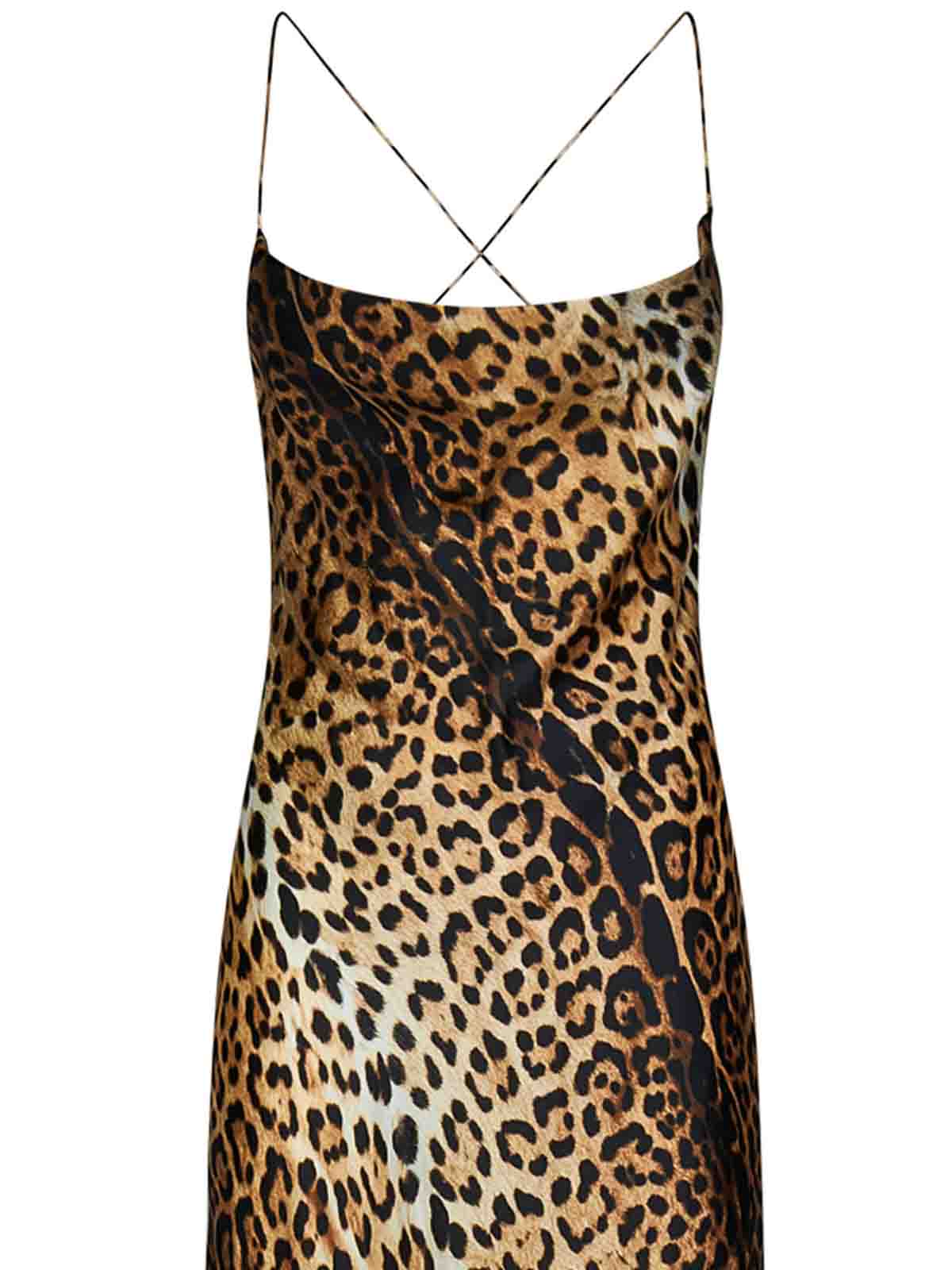 Shop Roberto Cavalli Jaguar-print Silk Long Dress With Halter Neck In Brown
