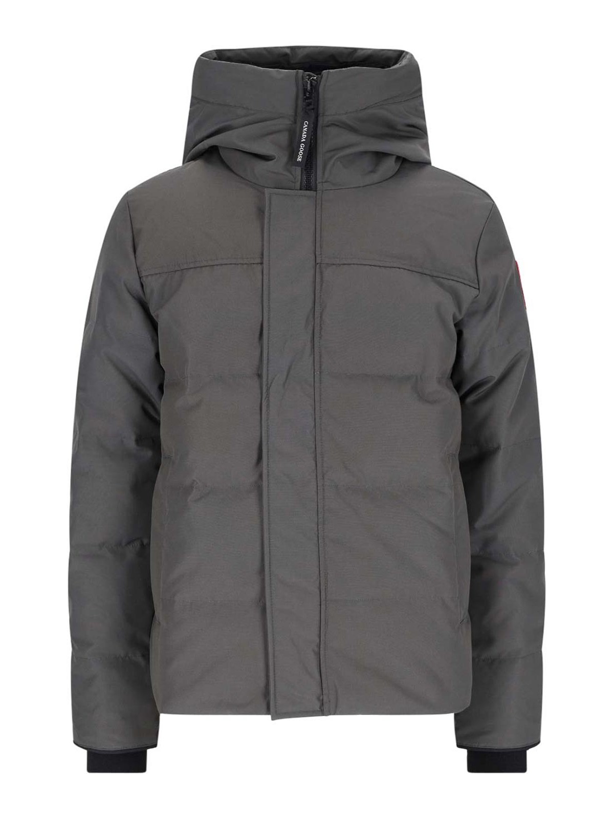 Shop Canada Goose Parkas In Grey