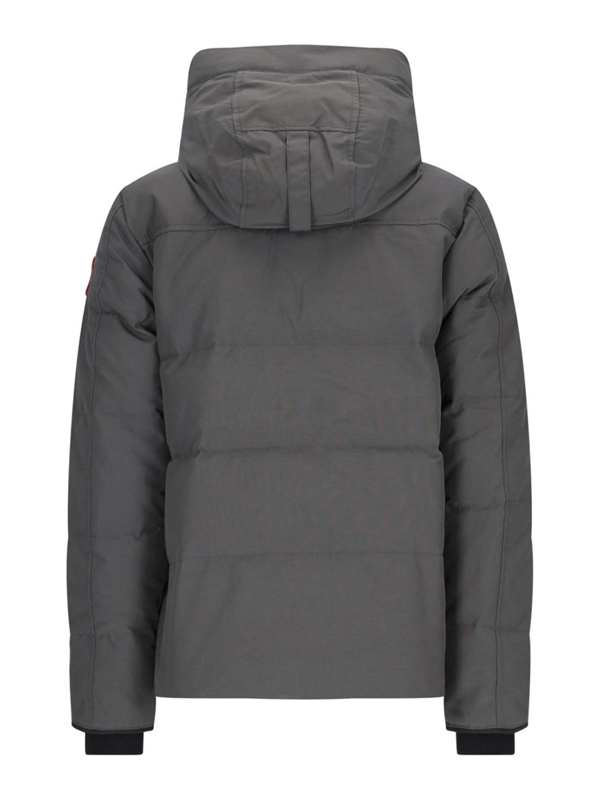 Shop Canada Goose Parkas In Grey