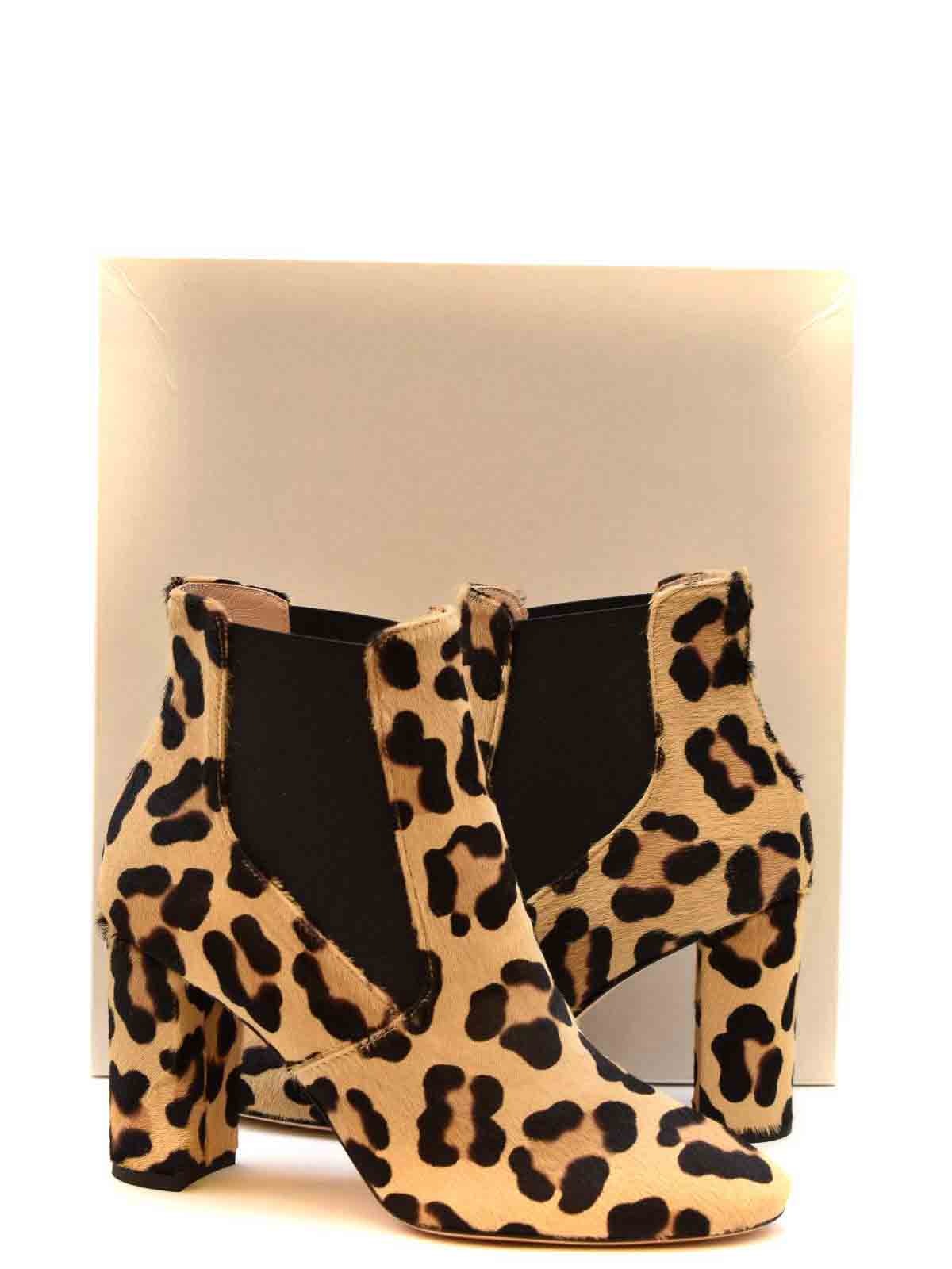 Shop Walter Violet Leo Print Ankle Boots In Animal Print