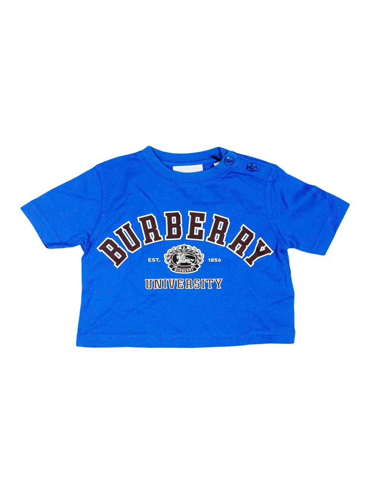 Burberry Kids' T-shirts And Polos Blue