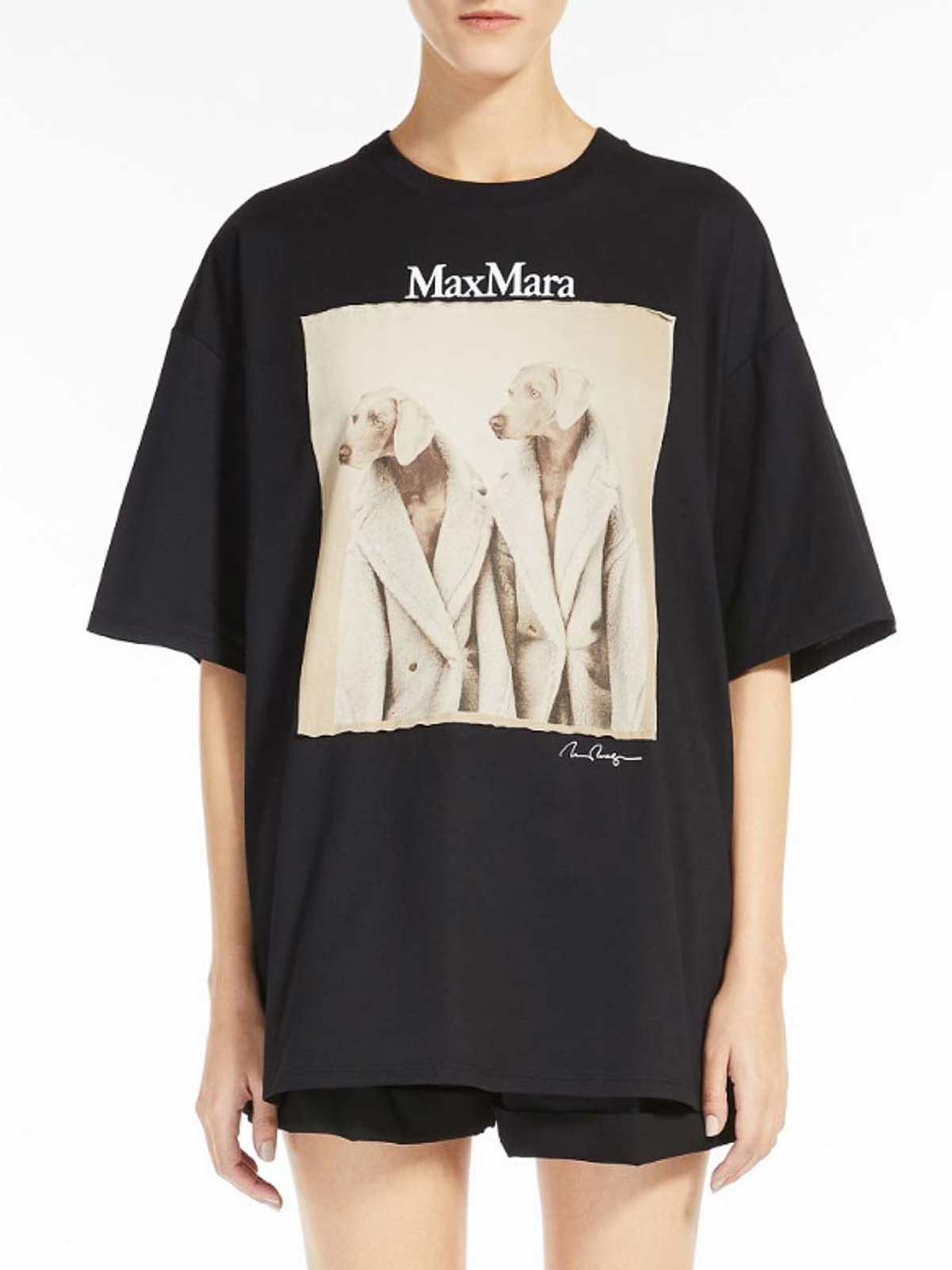 Max Mara☆関税込 TACCO ウェグマン コットン T シャツ Max Mara Tacco wegman print cotton t-shirt