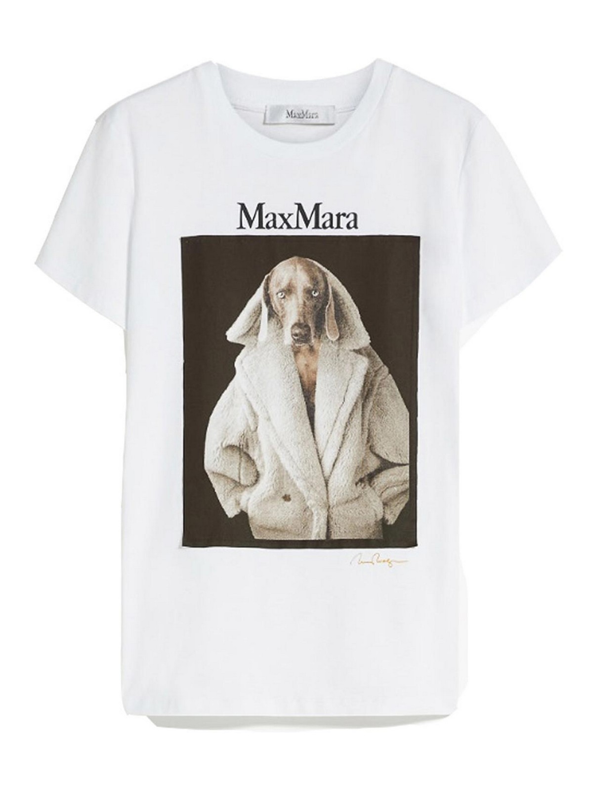 T-shirts Max Mara - Valido cotton t-shirt with wegman print