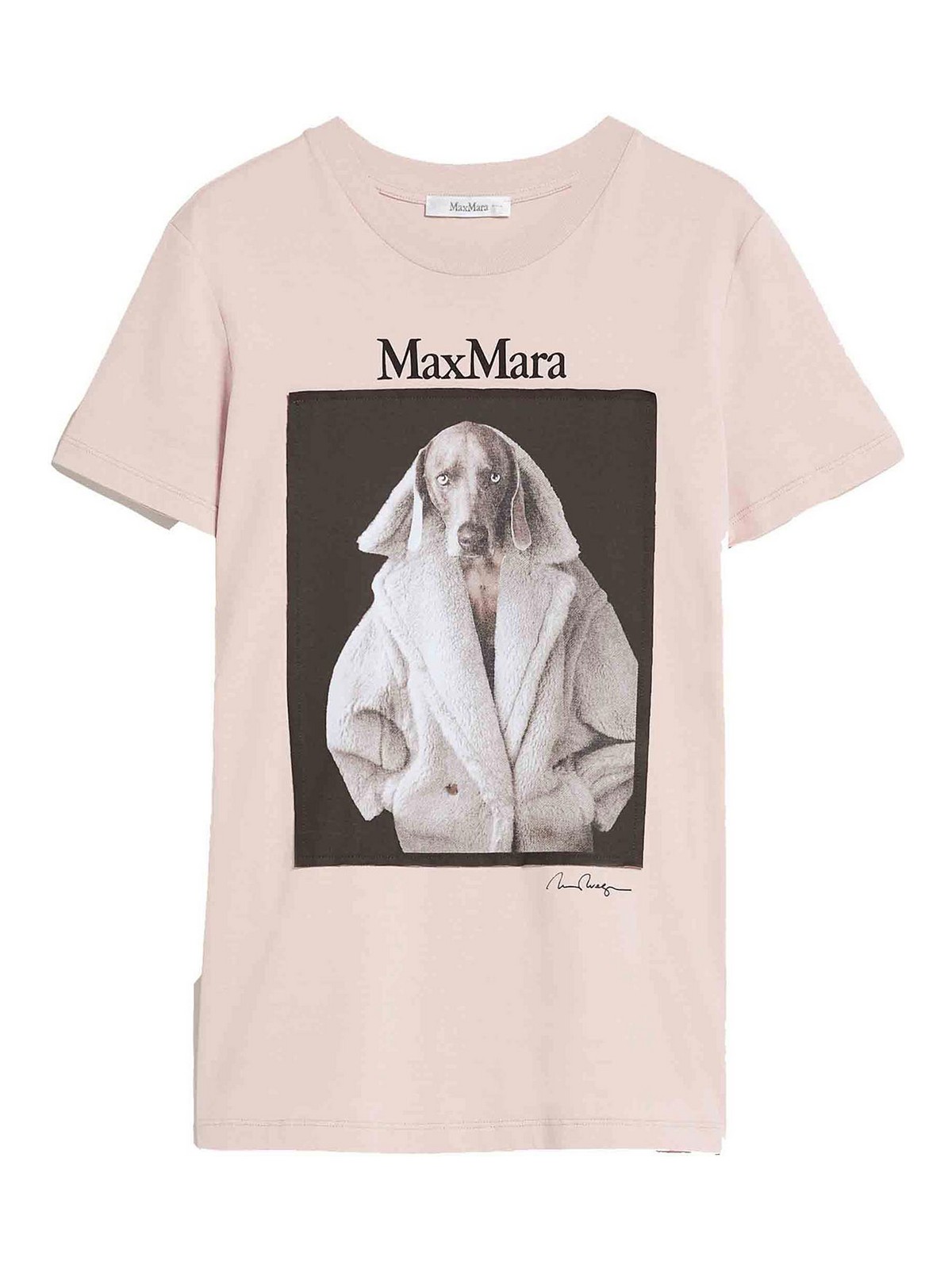 Max Mara Valido cotton t-shirt with wegman print 