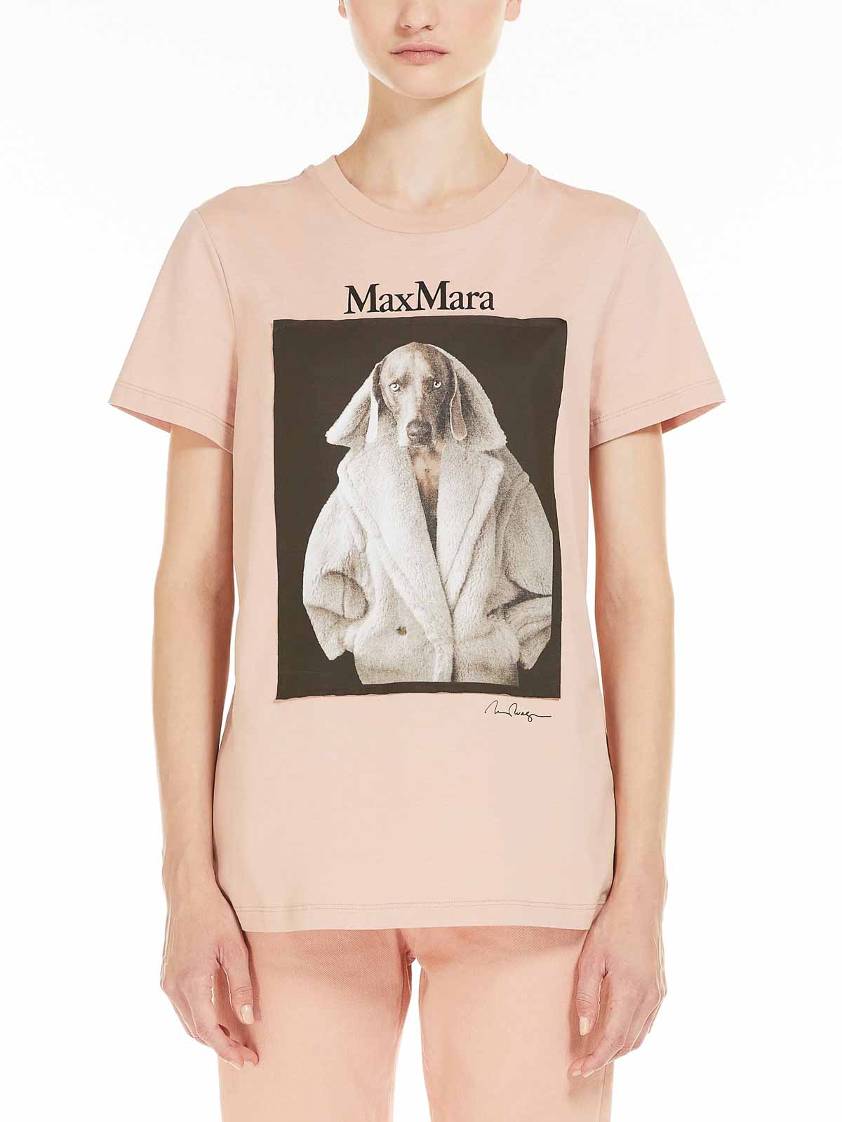 MaxMara ウェグマン プリント コットン Tシャツ VALIDO（T