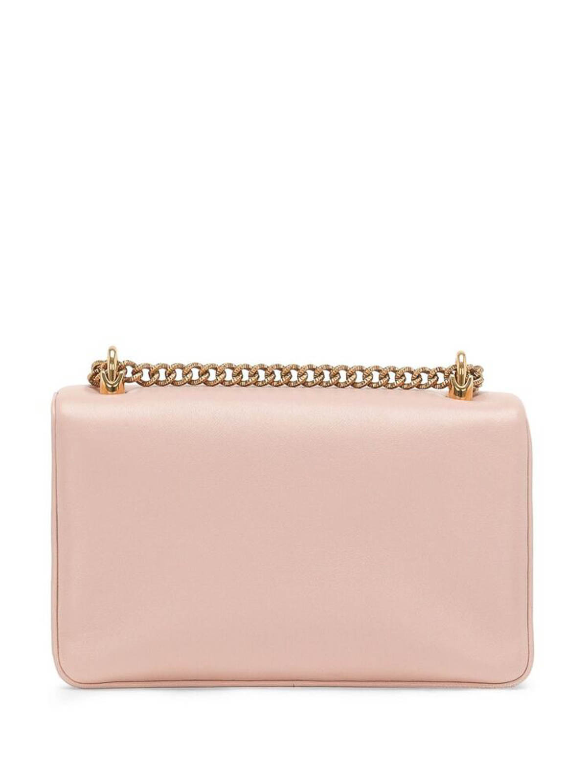 Shop Dolce & Gabbana Pink Leopard Print Chain Bag In Nude & Neutrals