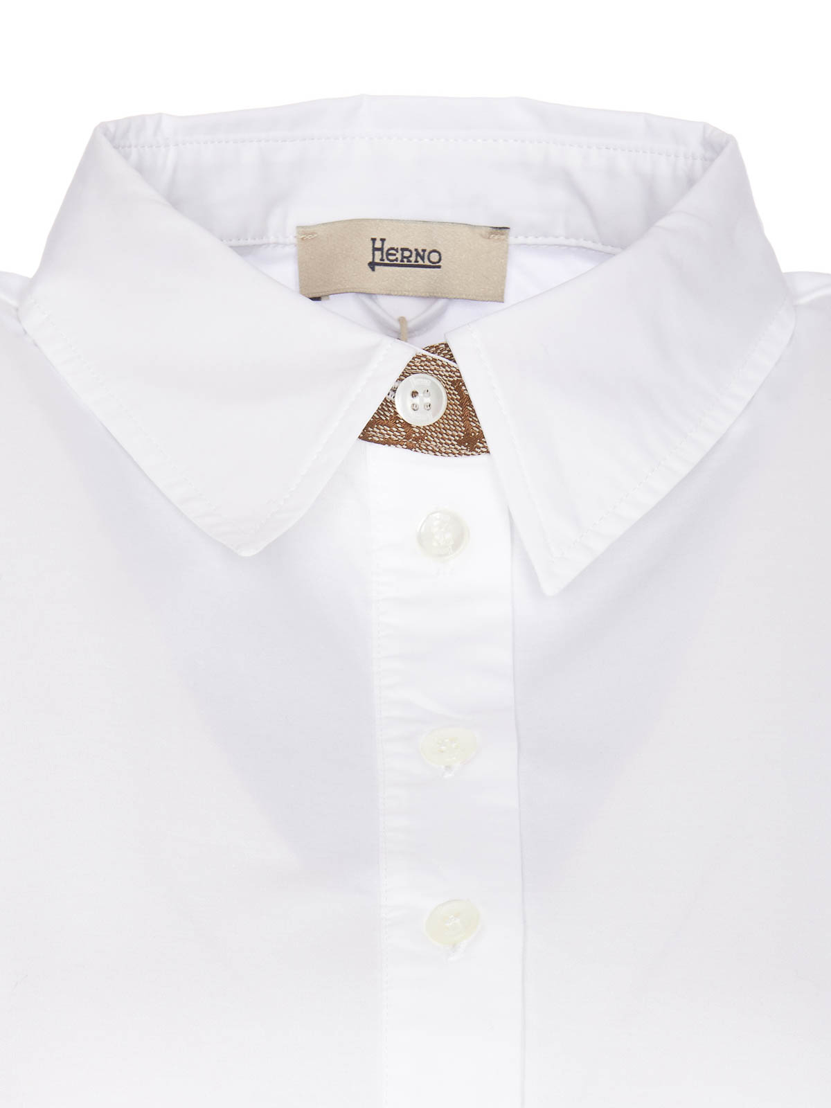 Shop Herno White Polo T-shirt Logo Collar