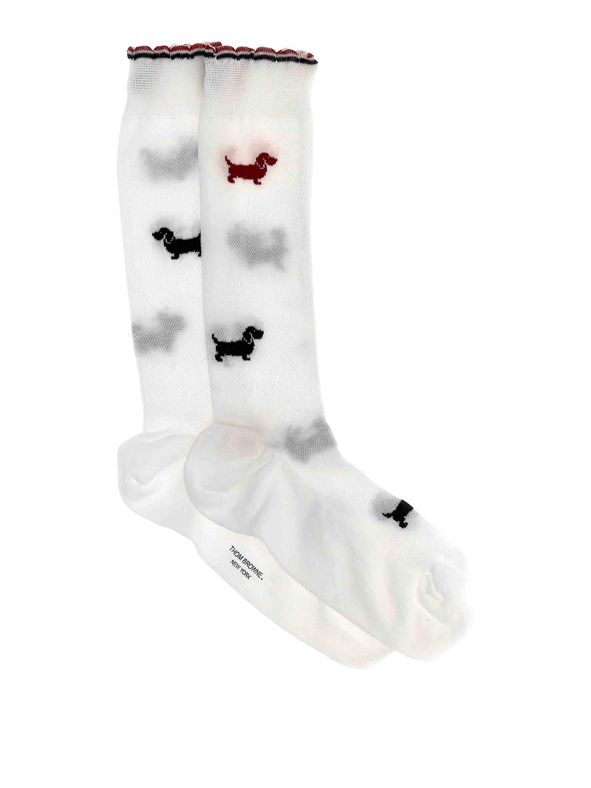 Shop Thom Browne Hector Socks In White