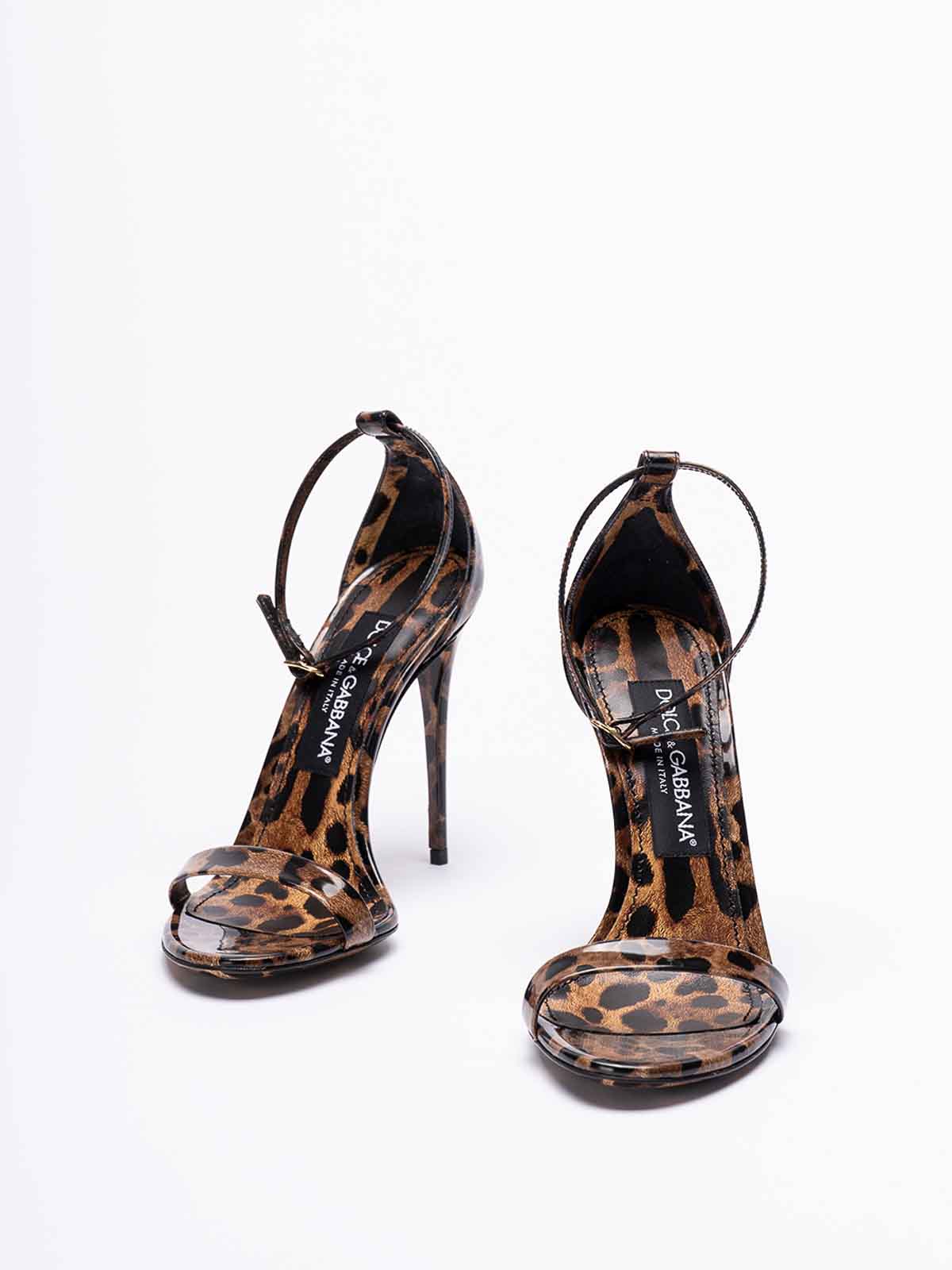 Shop Dolce & Gabbana Sandalias - Sandals In Estampado Animalier