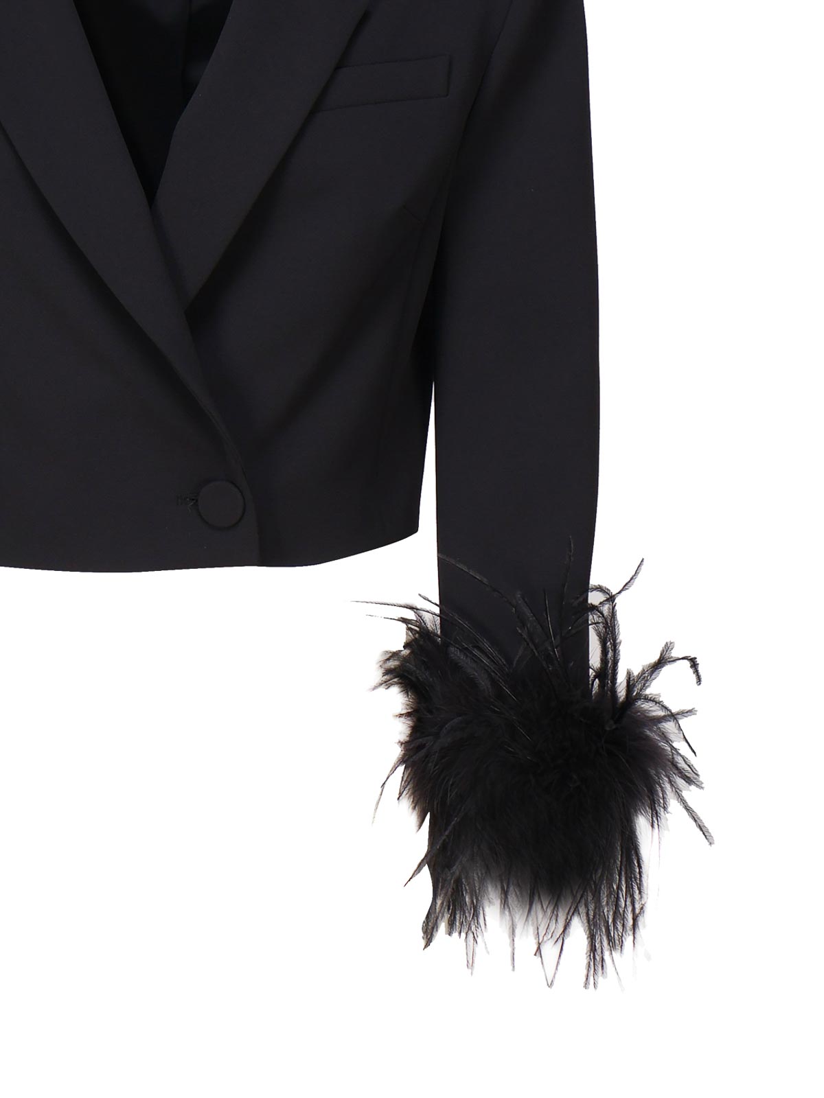 Shop Pinko Crop Blazer With Feathers In Black