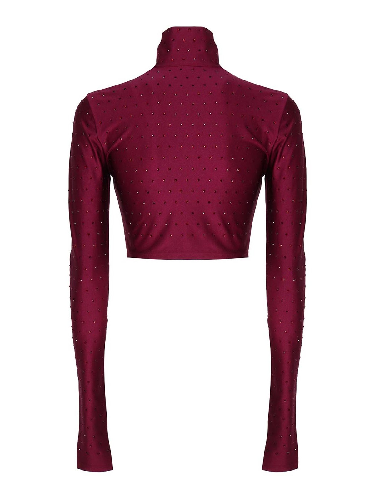 Shop The Andamane Crop Top With Decoration In Dark Red