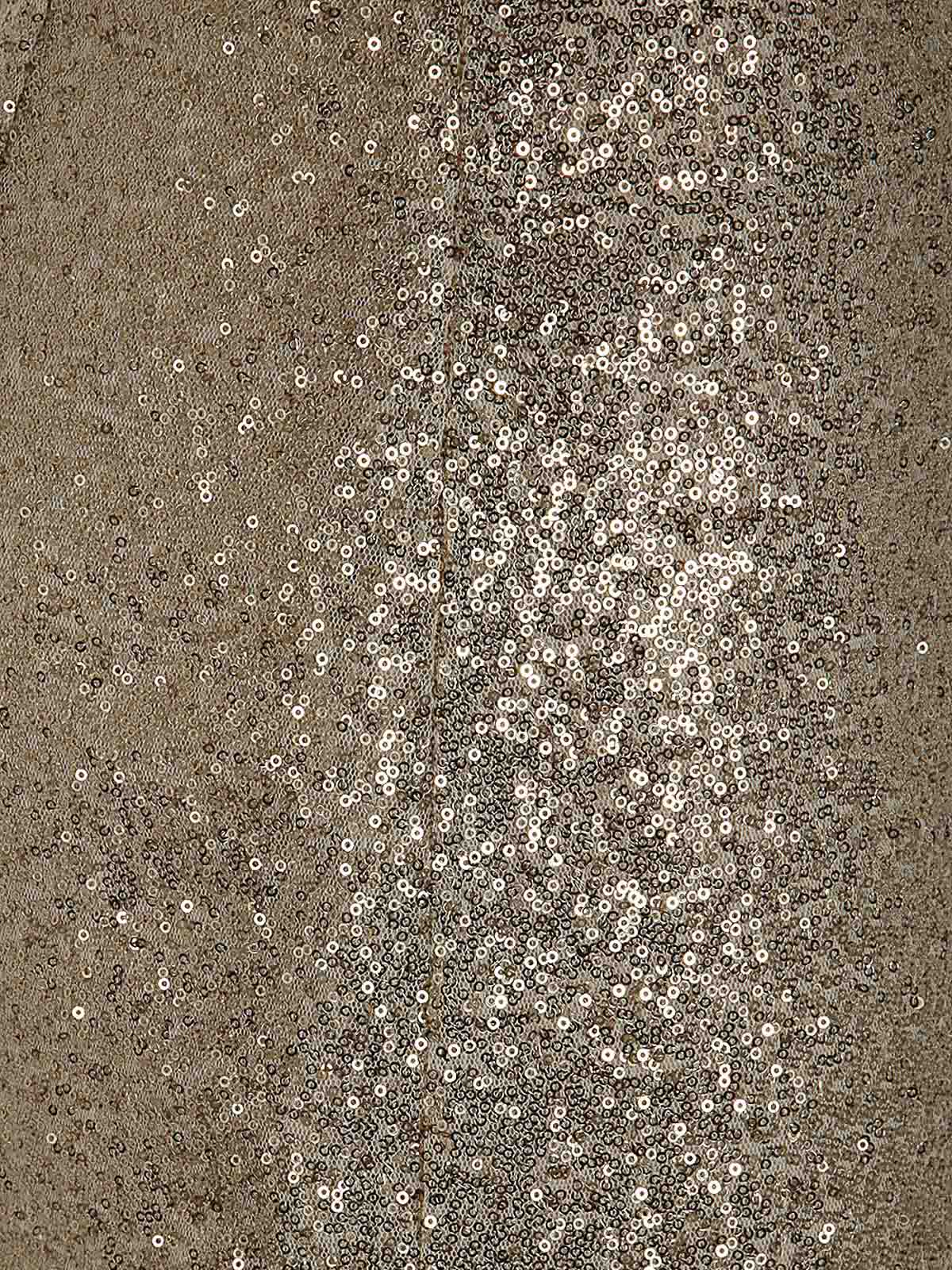 Antonelli Firenze Oliver Longuette Skirt With Paillettes