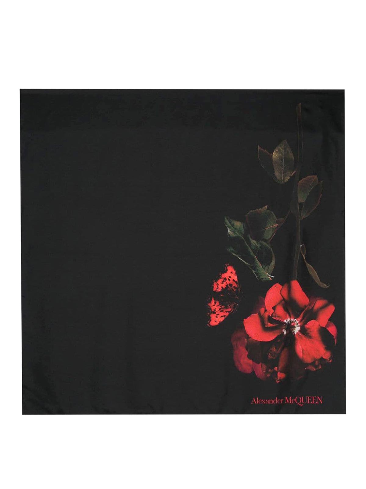 Alexander Mcqueen Rose Print Silk Scarf In Black