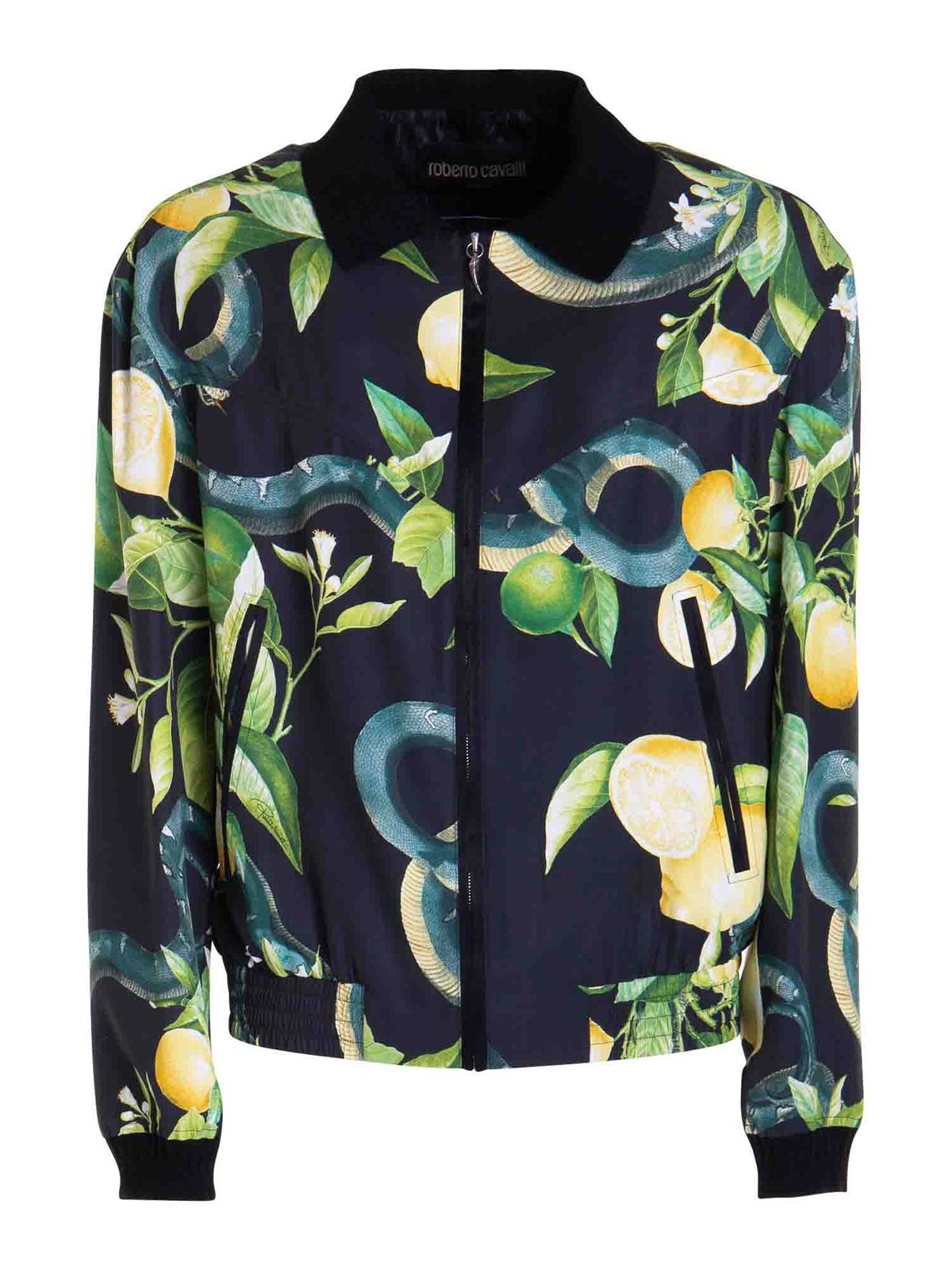 Shop Roberto Cavalli Shirt-style Jacket In Multicolour