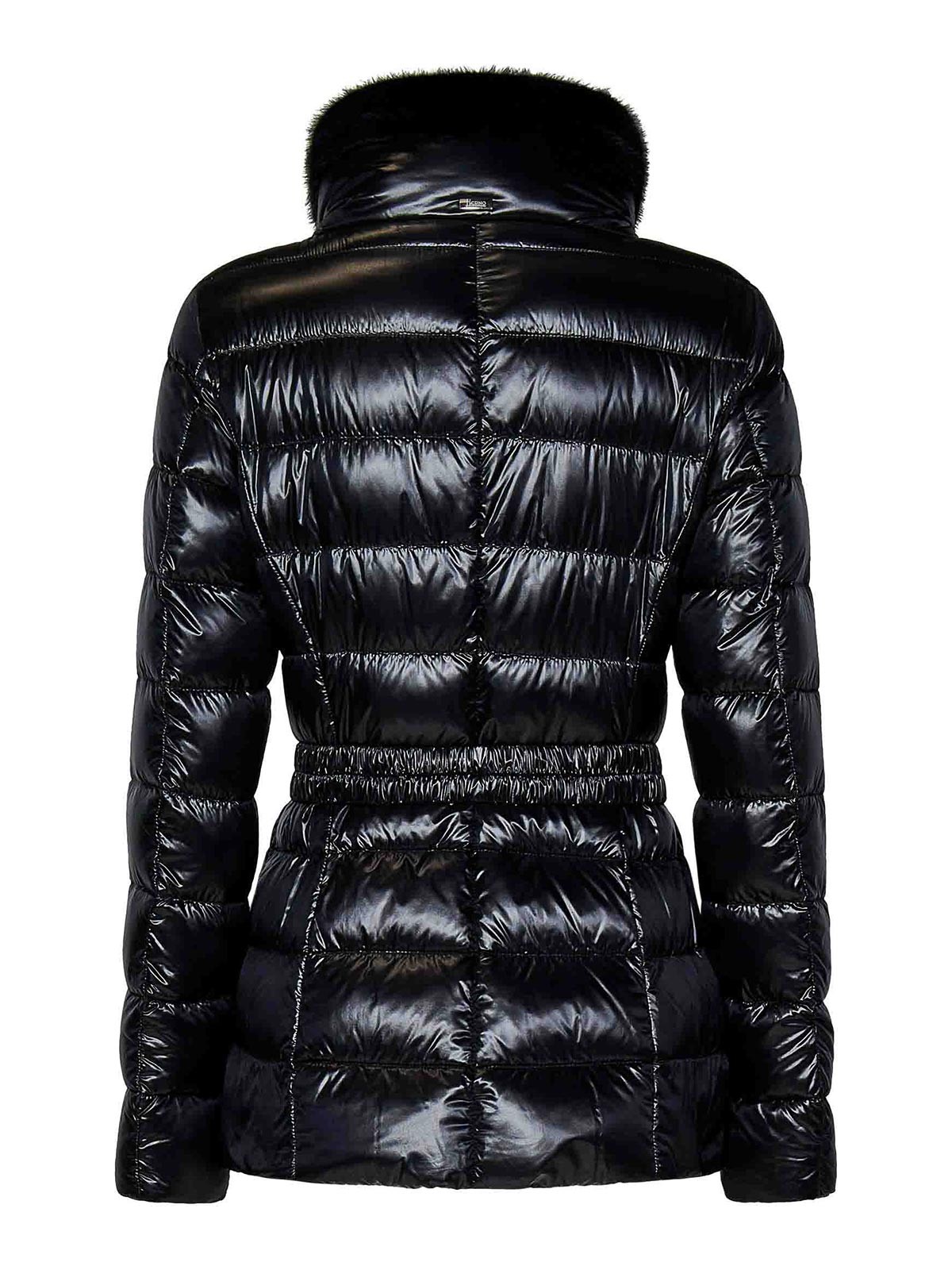 Shop Herno Padded Jacket In Black