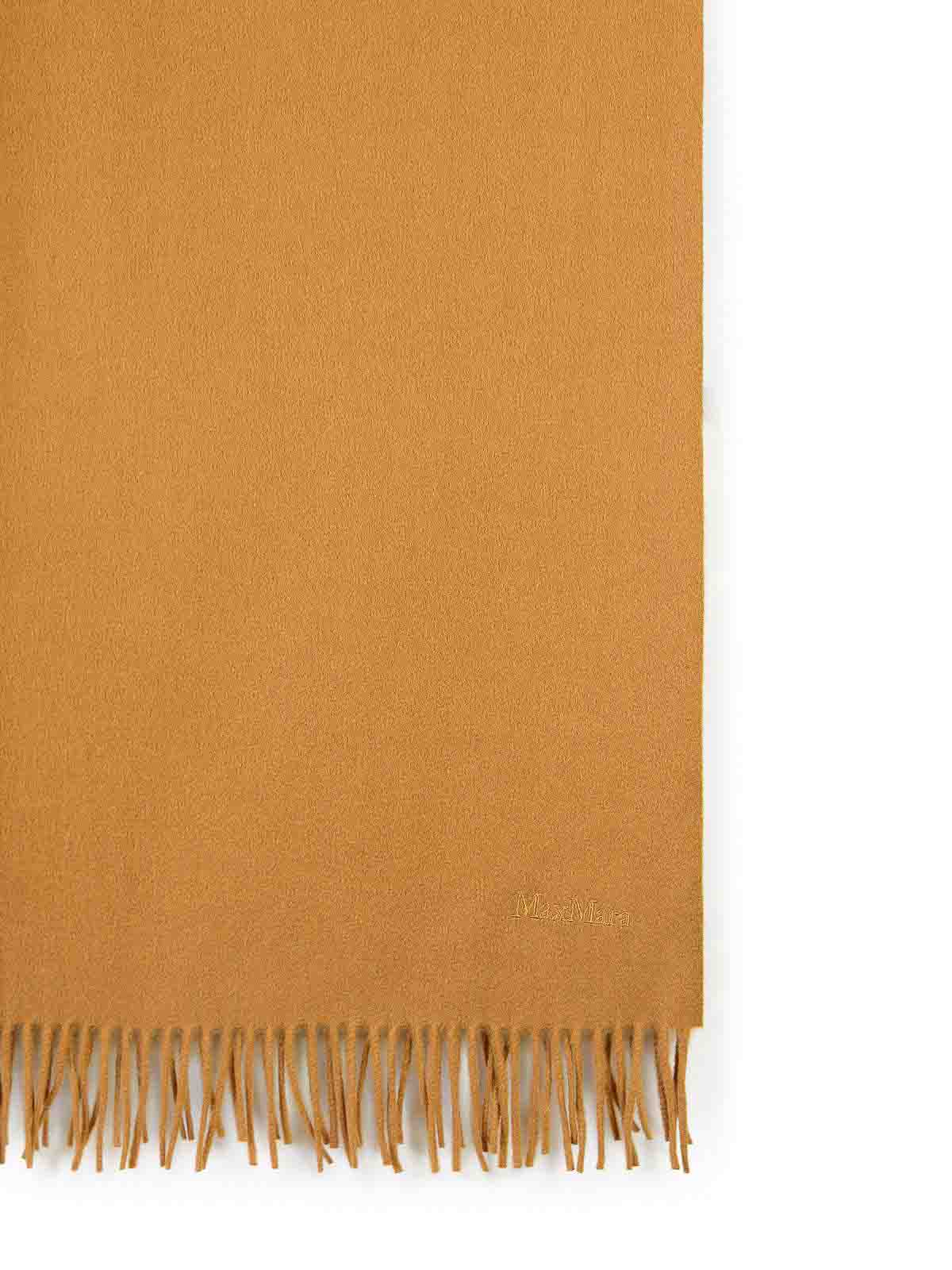 Shop Max Mara Baci Light Brown Chasmere Scarf In Beige