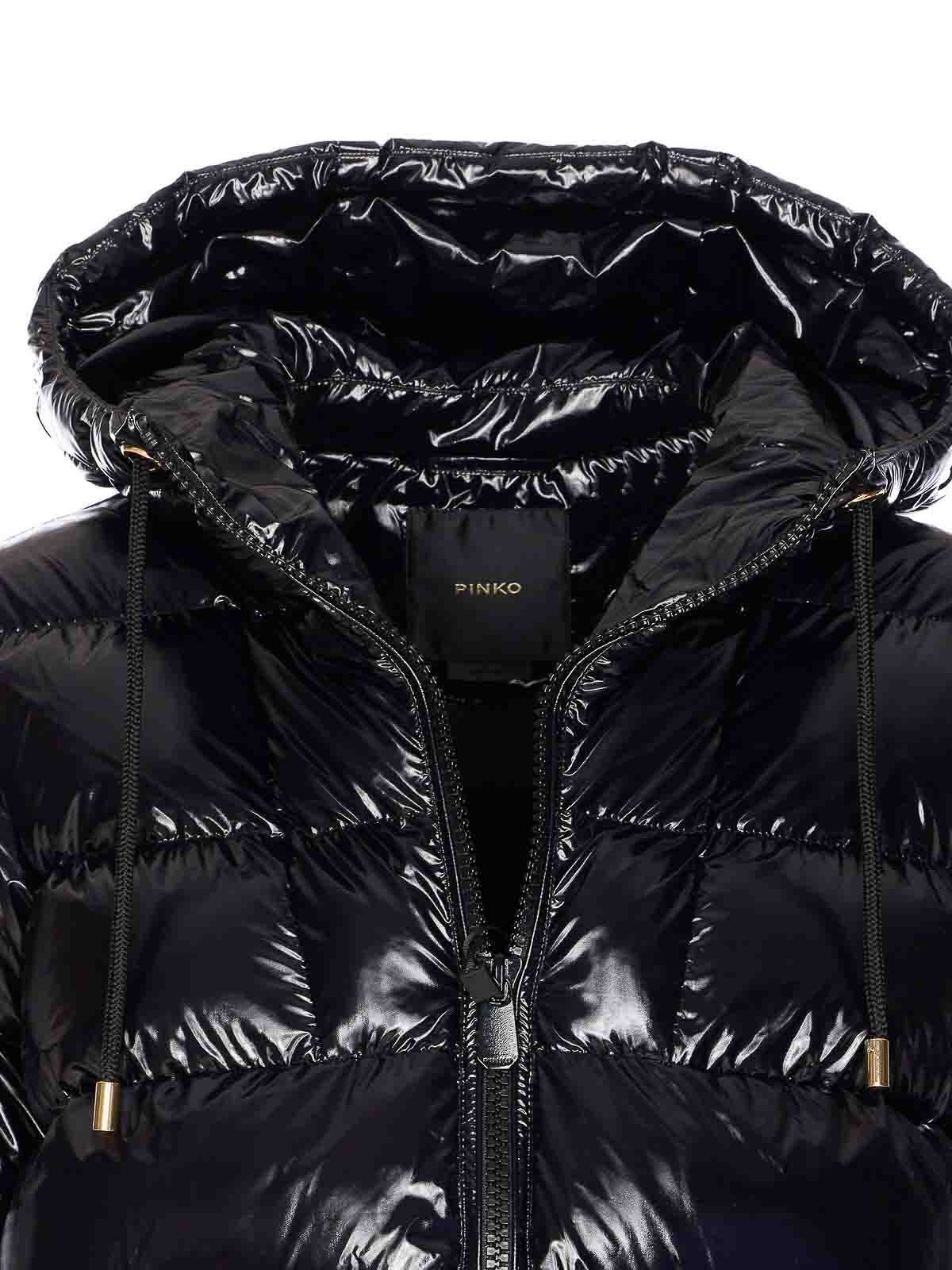 Pinko Eleodoro Down Jacket In Black