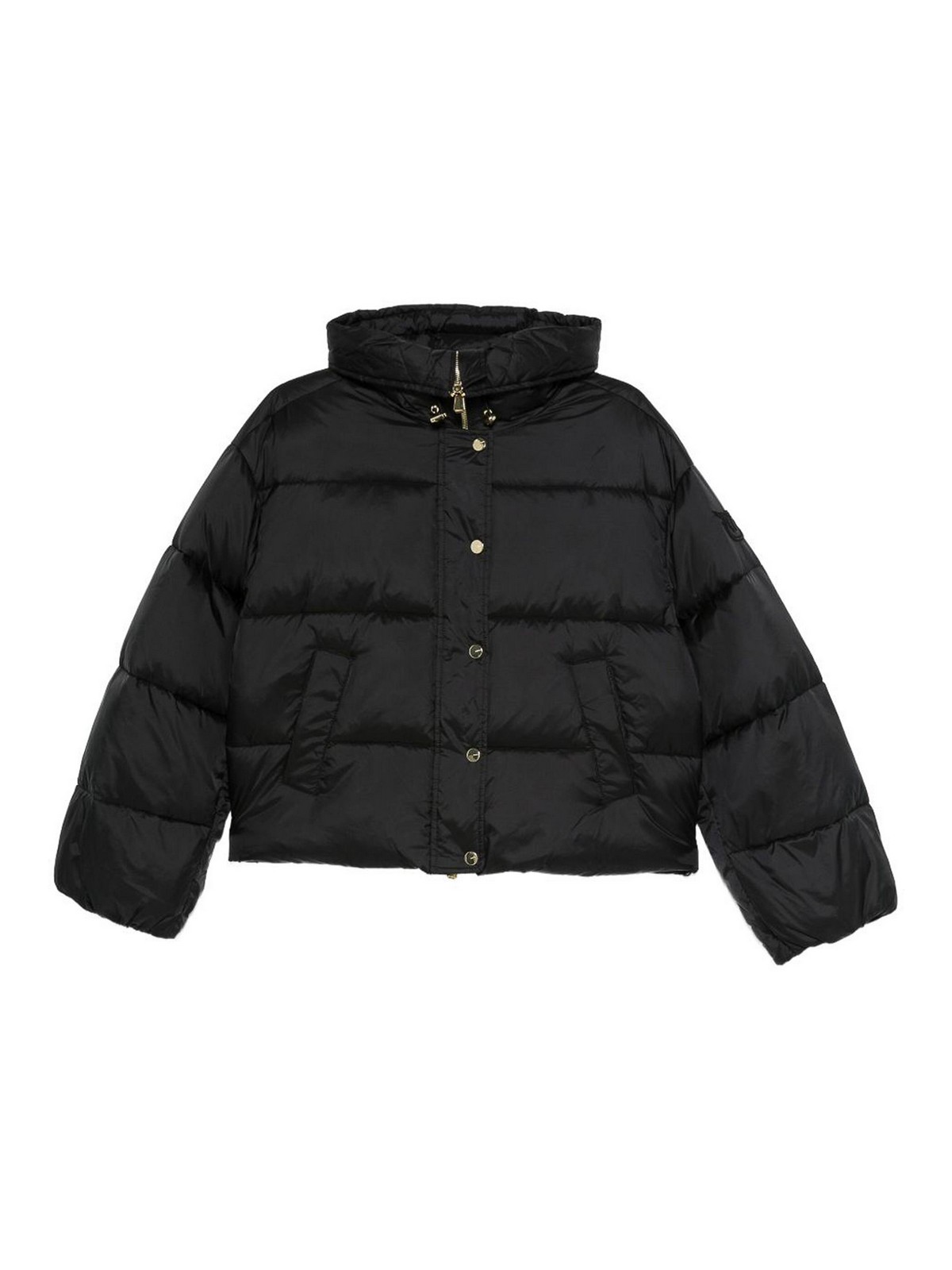 Pinko Down Jacket In Black