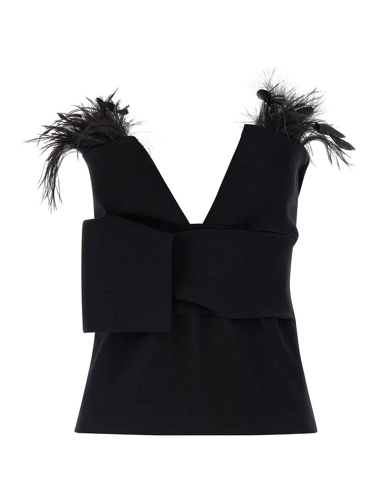 Alberta Ferretti Top With Feathers In Black
