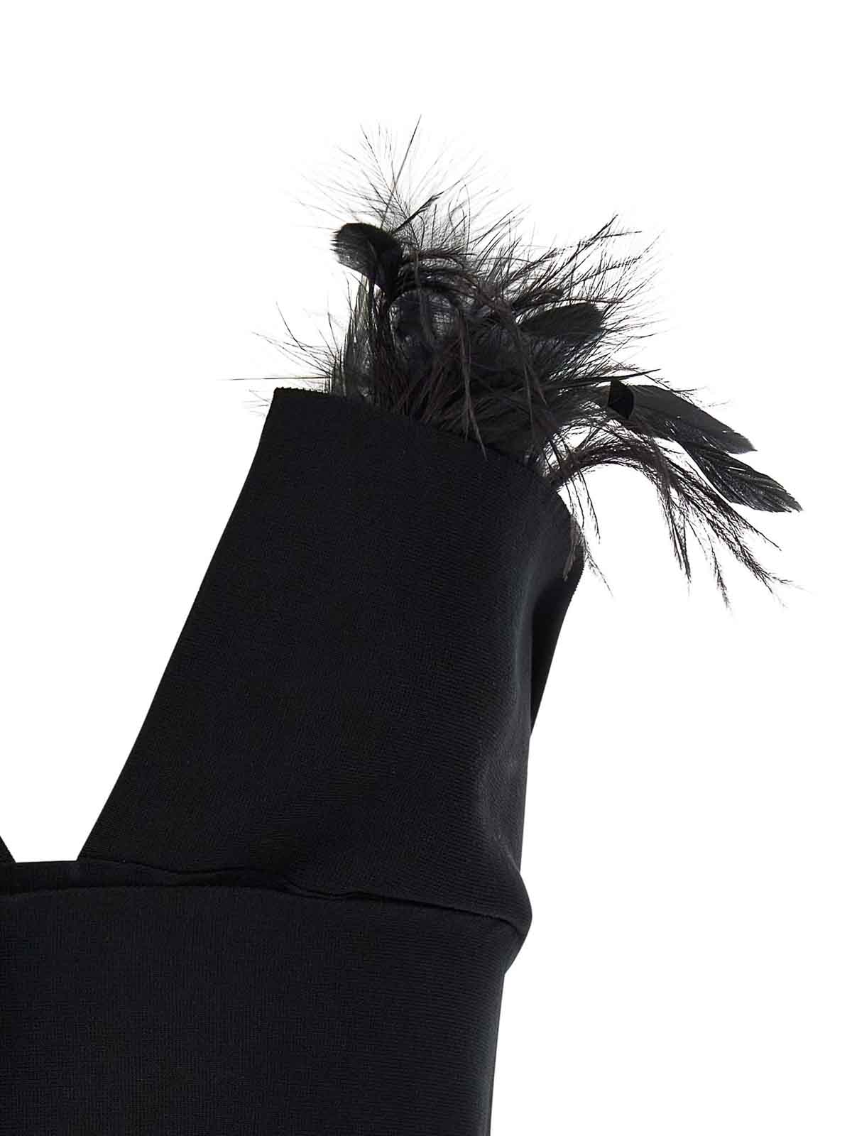 Alberta Ferretti Top With Feathers In Black