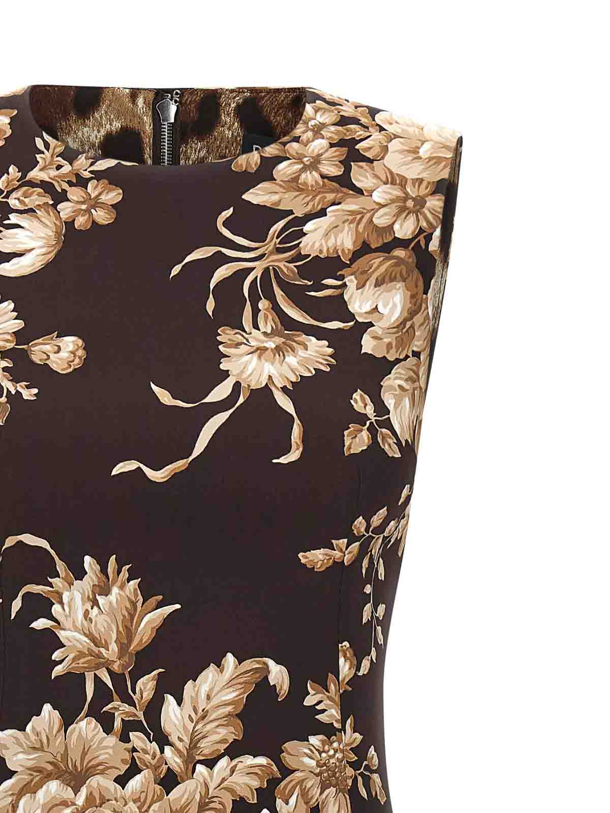 Dolce & Gabbana Rose Print Dress In Black