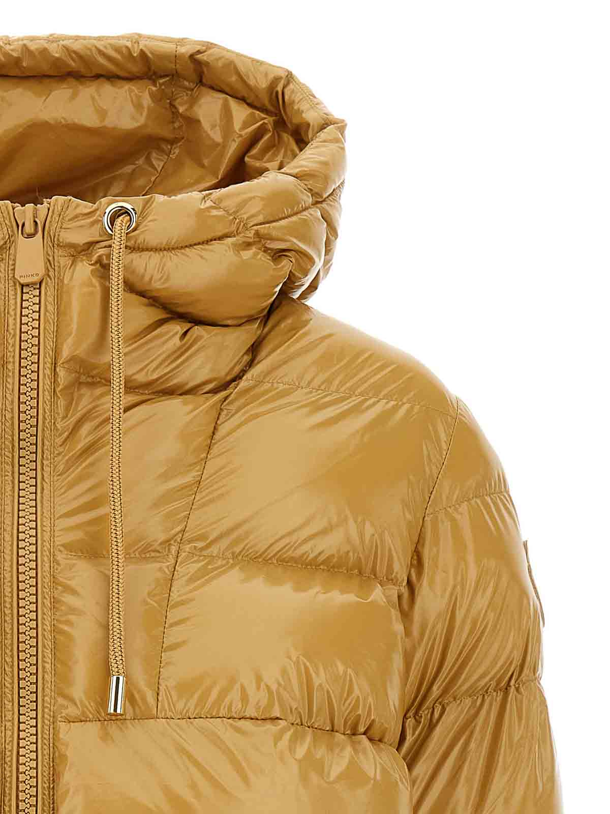 Pinko Eleodoro Down Jacket In Gold