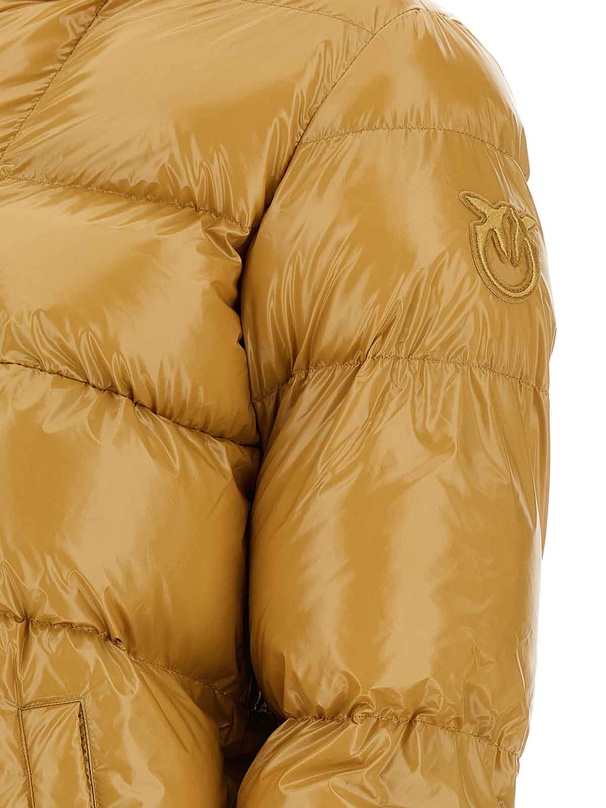 Pinko Eleodoro Down Jacket In Gold