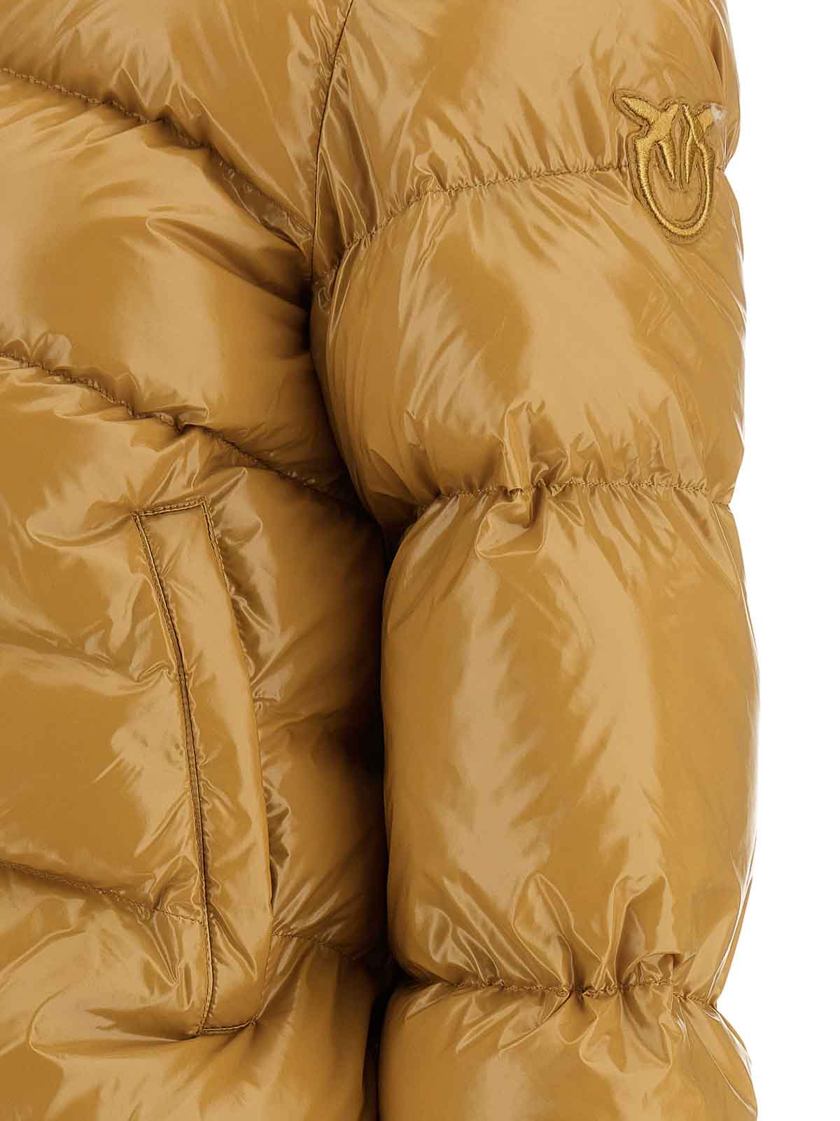 Pinko Mirco Down Jacket In Sand
