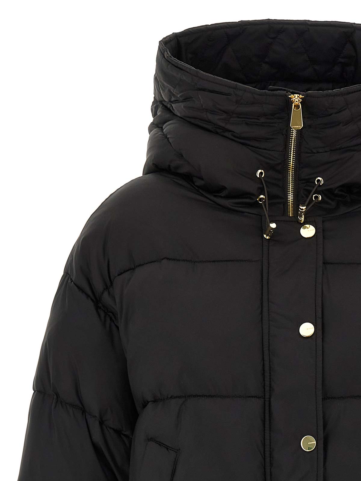 Pinko Impasto Down Jacket In Brown