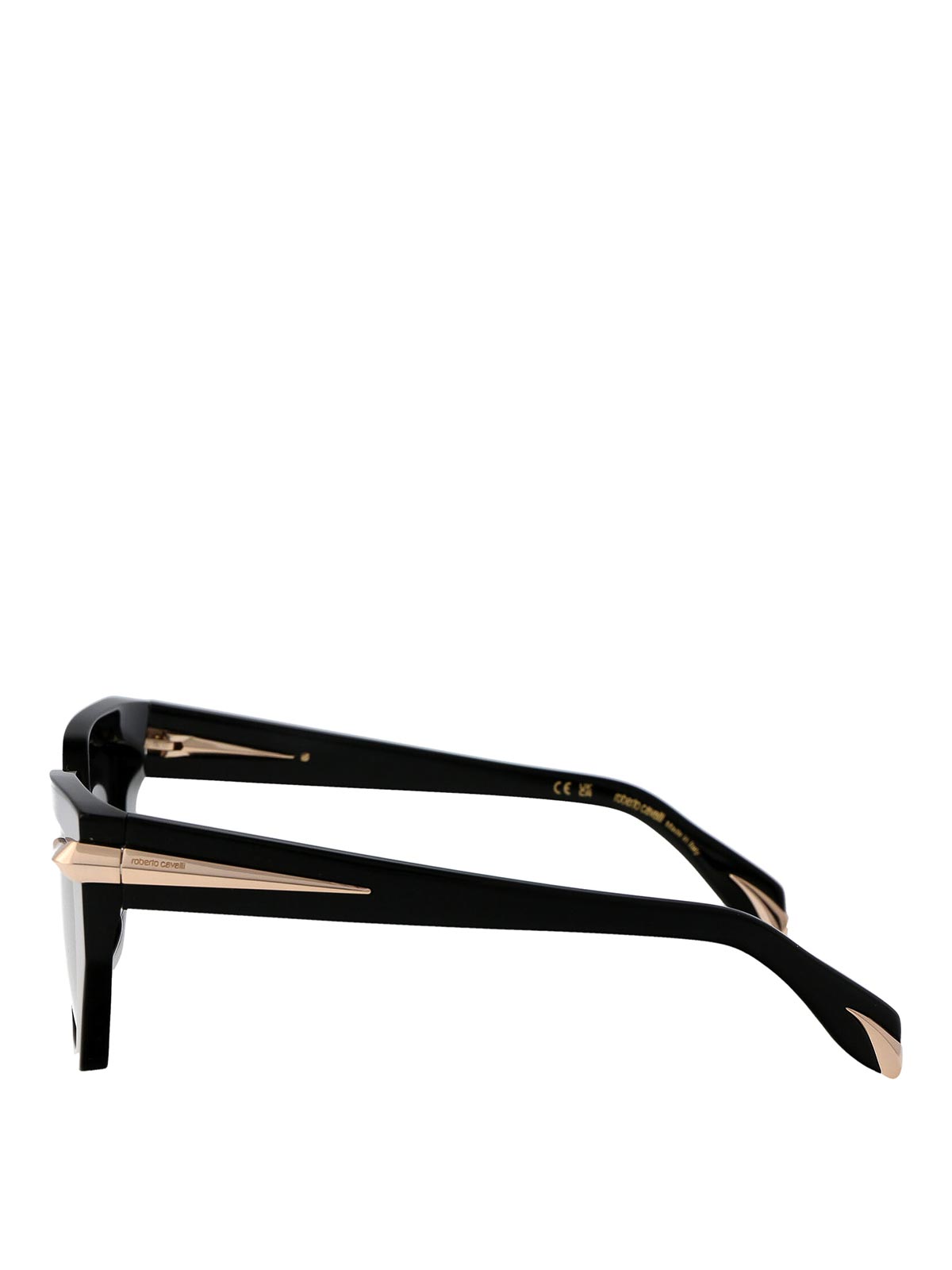 Roberto Cavalli Sunglasses In Black
