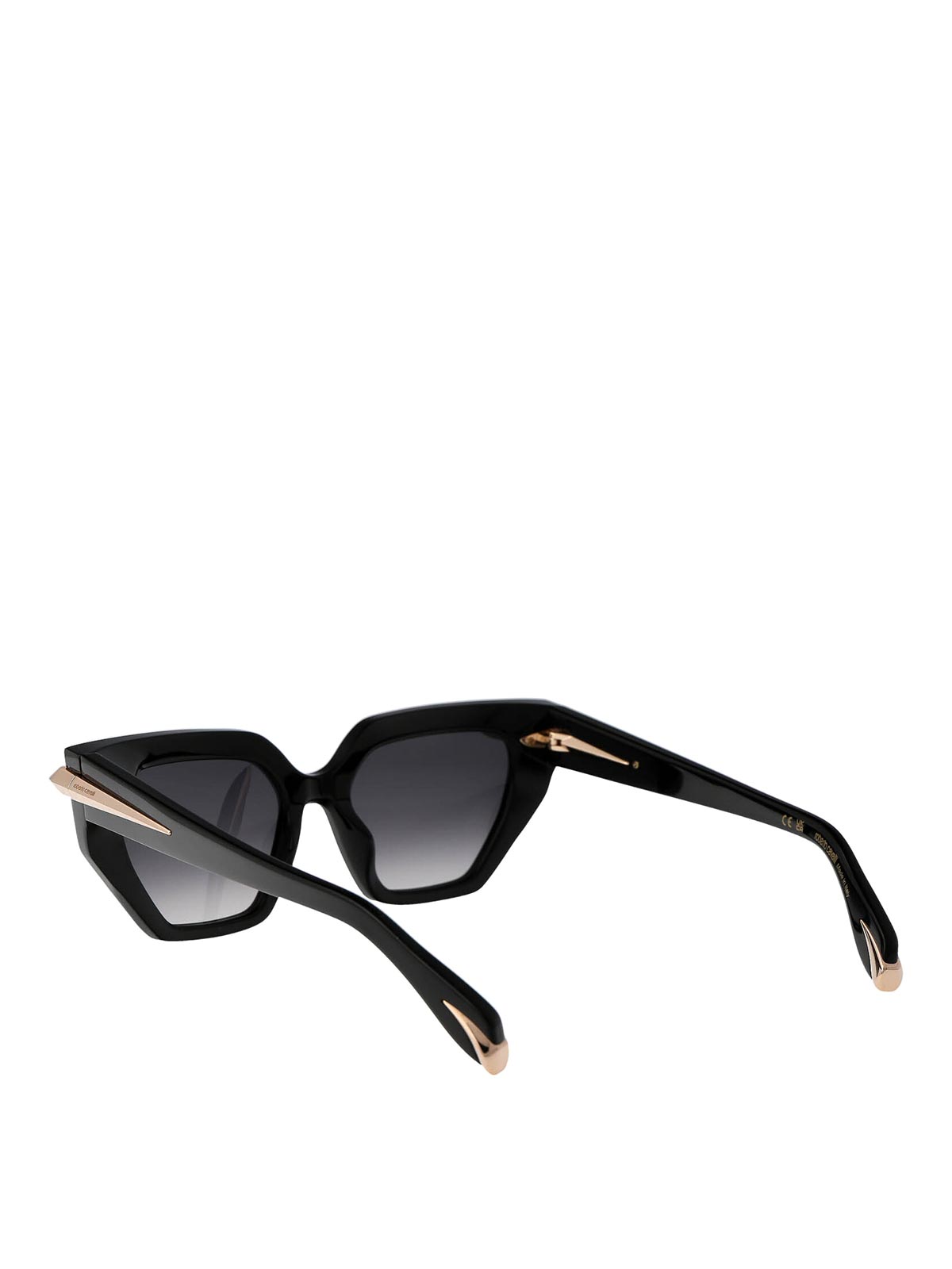 Roberto Cavalli Sunglasses In Black