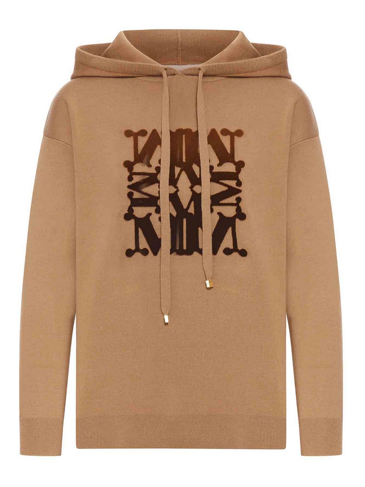 Max Mara Taddeo Sweatshirt With Brush Embroidery In Brown