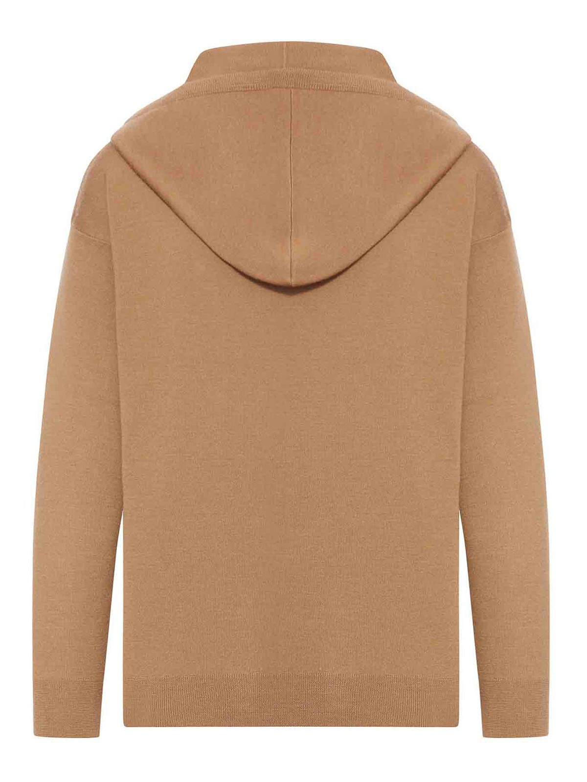 Max Mara Taddeo Sweatshirt With Brush Embroidery In Brown