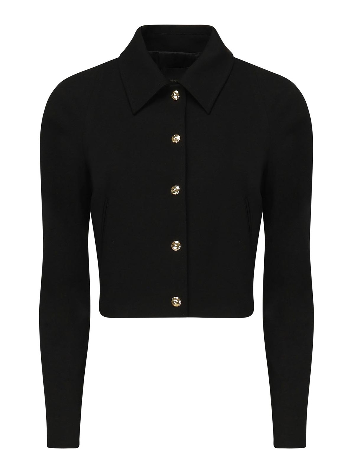 Pinko Guazzetto Cropped Jacket In Black
