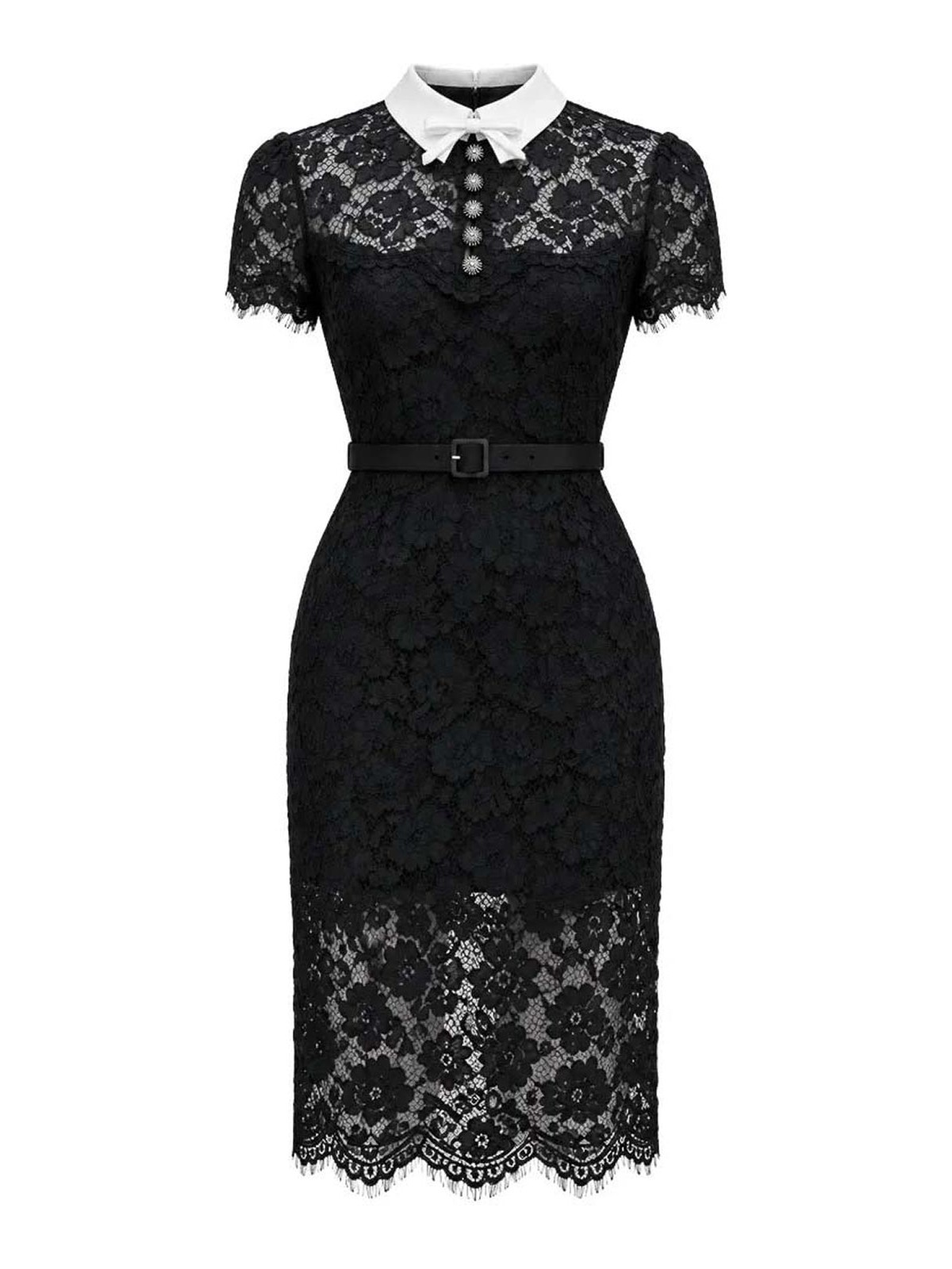 Self-portrait Black Lace Contrast Collar Midi Dress