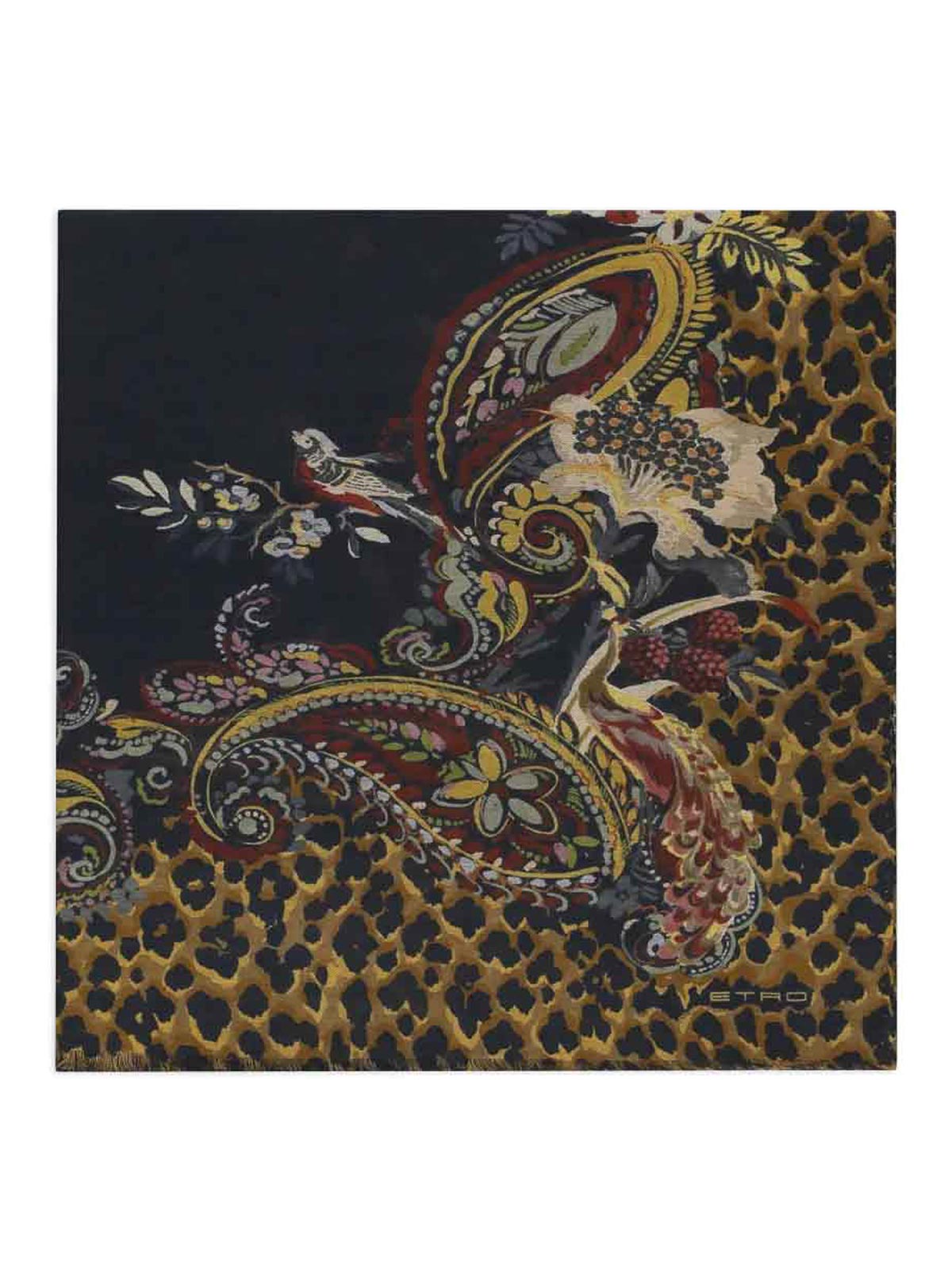 Etro Écharpe - Noir