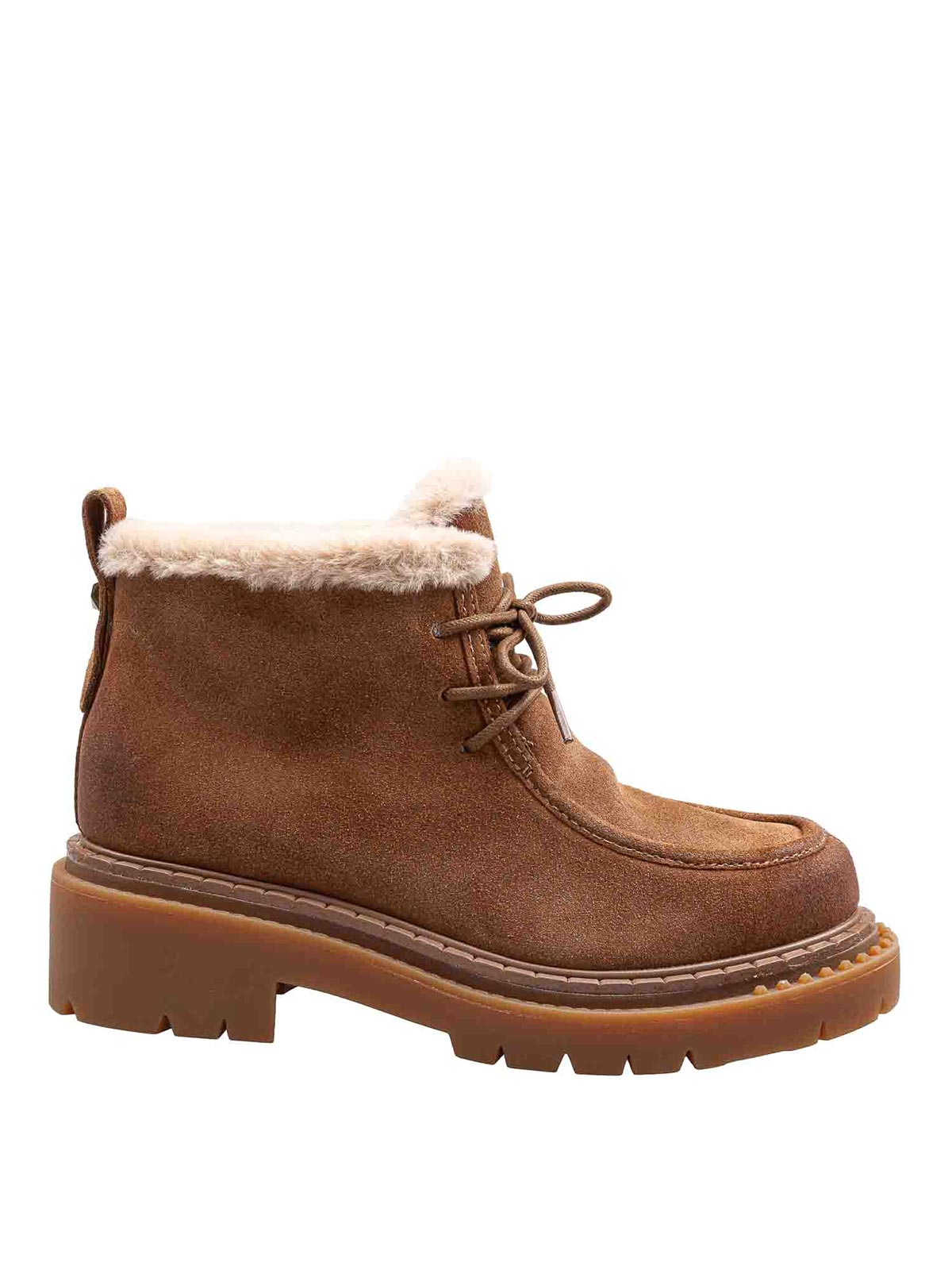 Ash Bottines - Marron