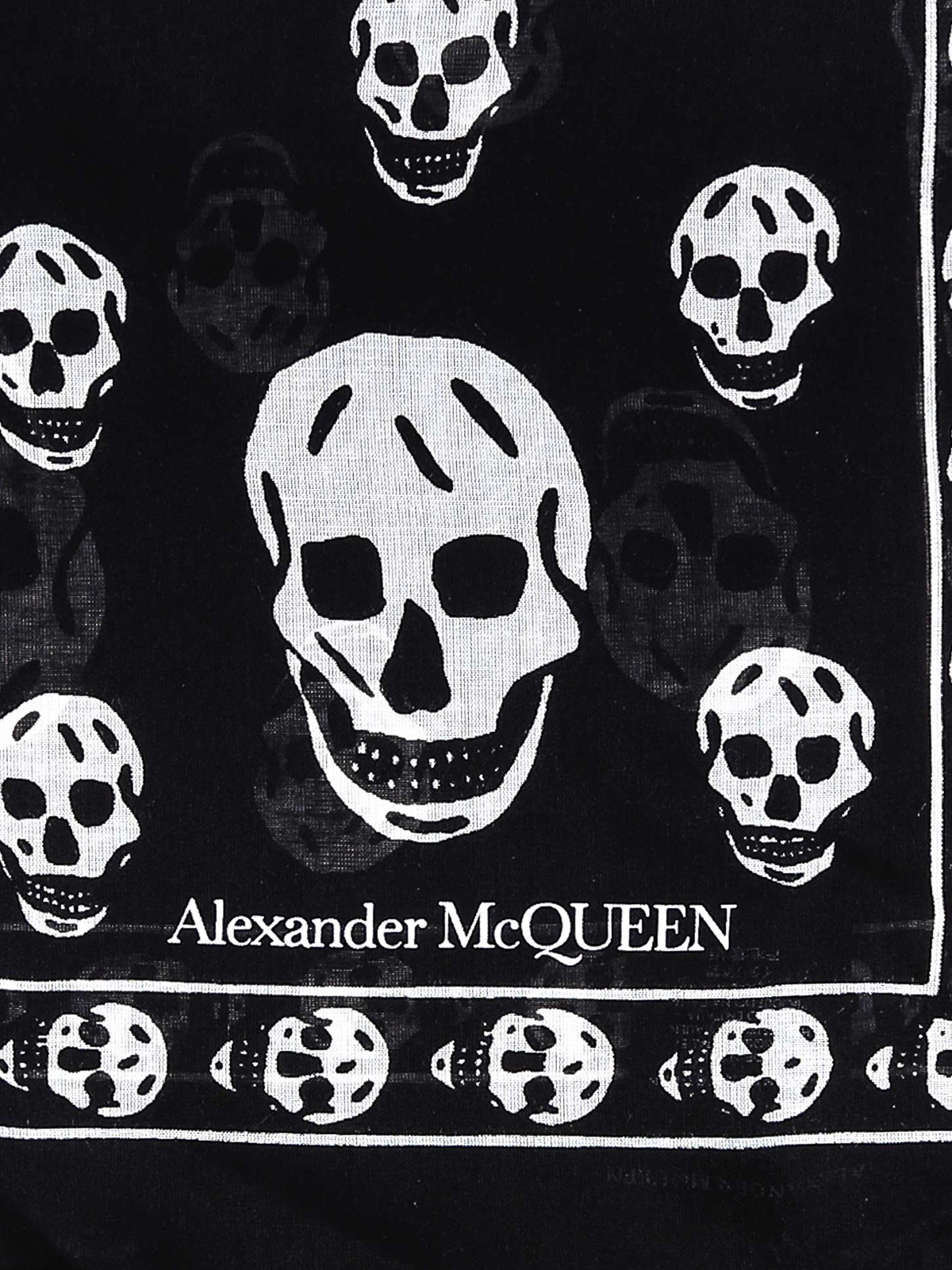Alexander McQueen Skull Printed Scarf