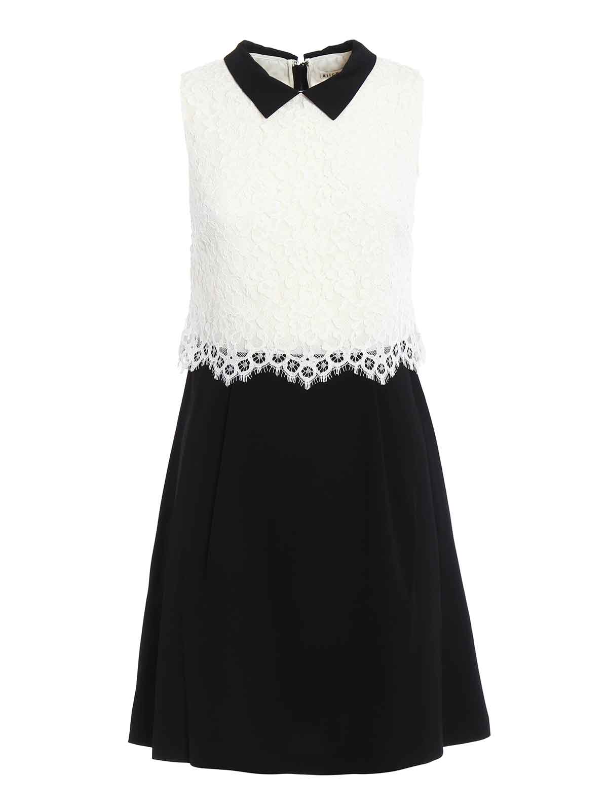 Alice+Olivia Desra lace and crepe dress - Black|C606621207Z973 Alice+Olivia Desra lace and crepe dress - Black|C606621207Z973