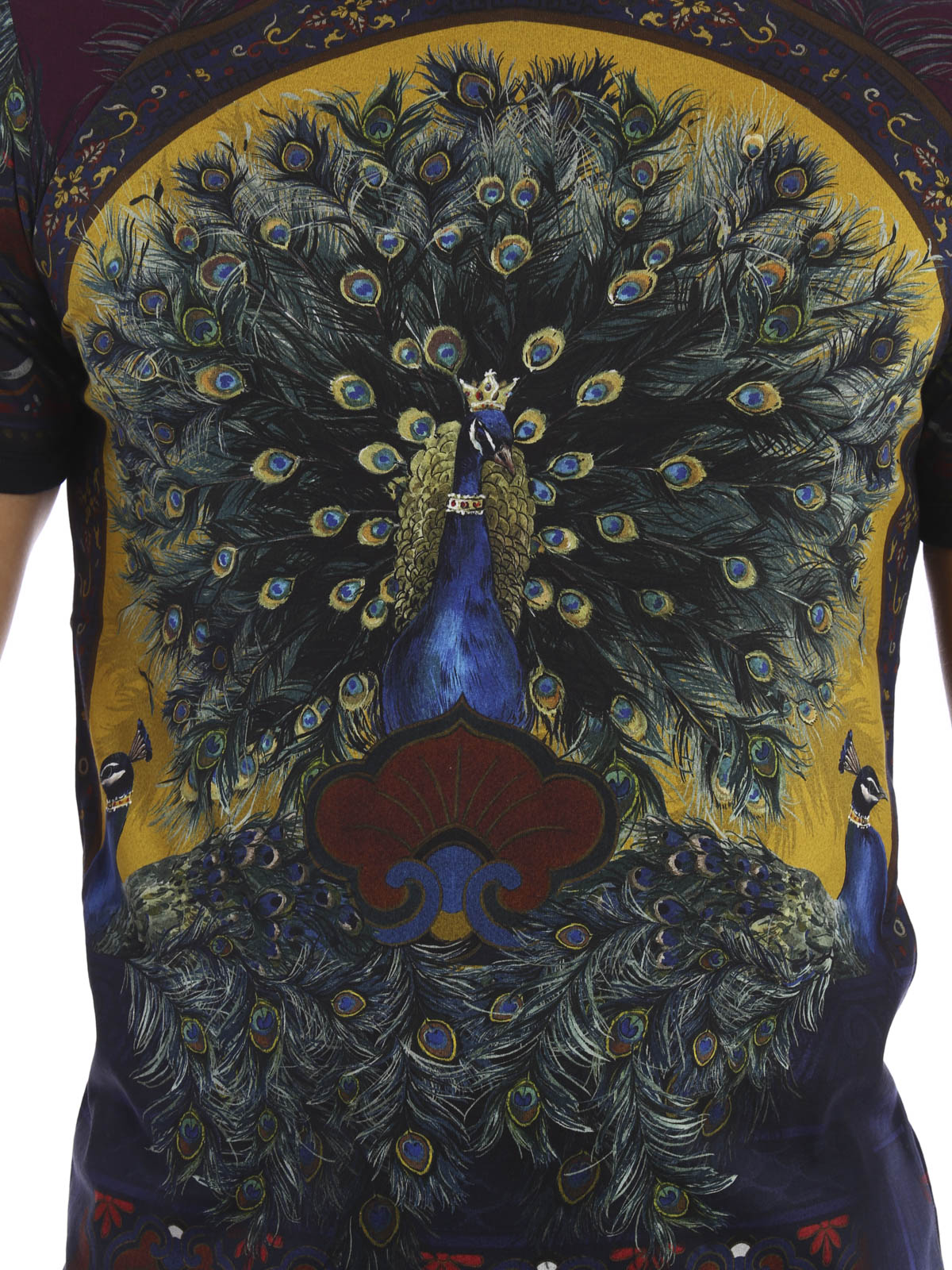 Dolce & Gabbana Peacock print T-shirt - Men | G8FV4TFP7IOX0860