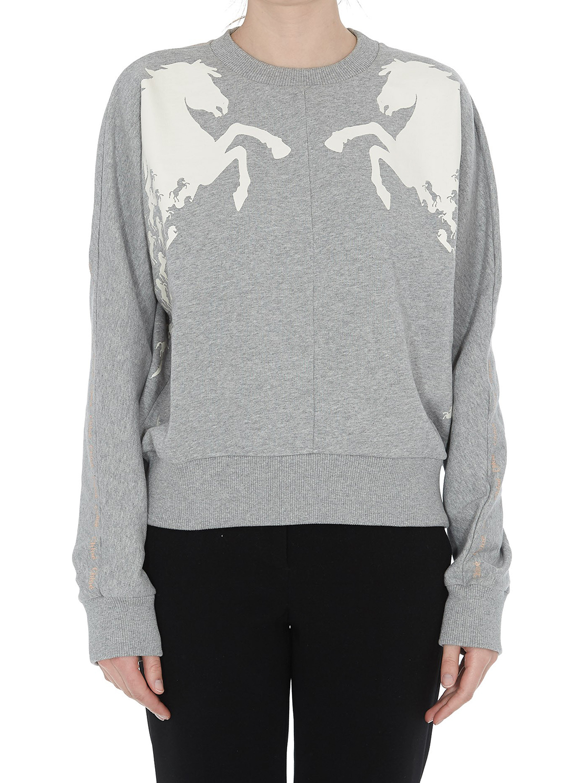 Tシャツ・カットソー CHLOE' Cotton blend sweatshirt Vapor Grey Chloe' Horse print cotton sweatshirt - Grey | C19SJH08285043